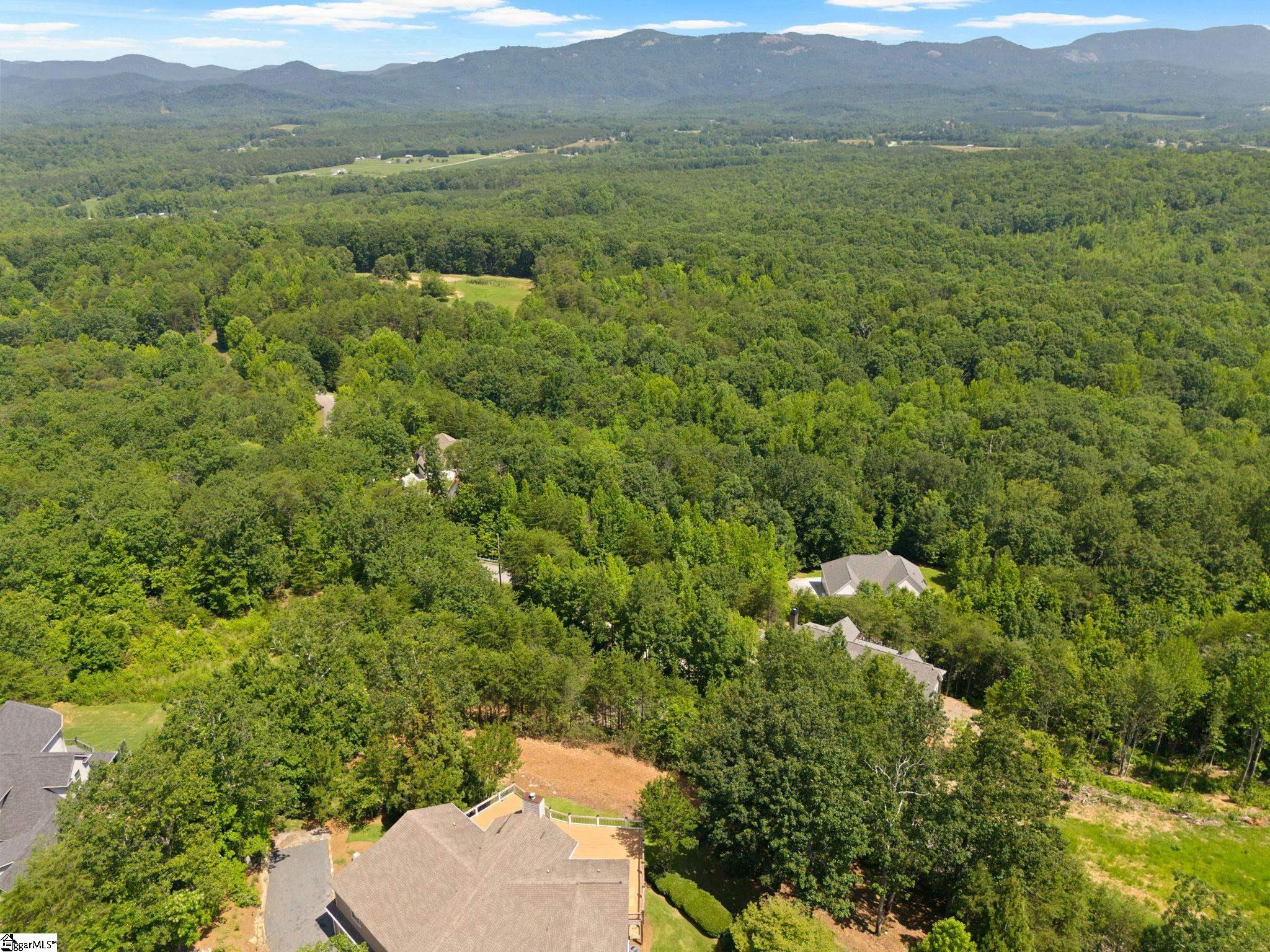 600 Packs Mountain Ridge, Taylors, South Carolina image 50