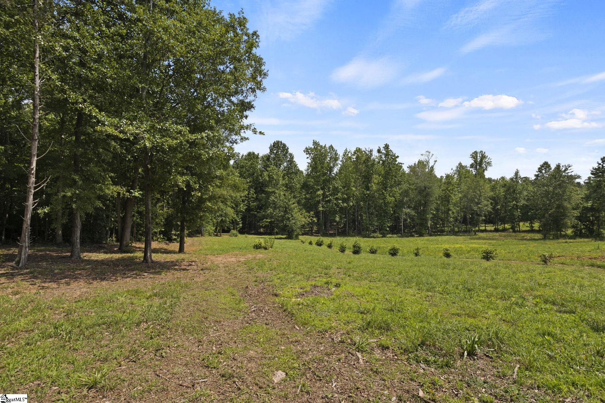 6 Mandarin, Taylors, South Carolina image 33