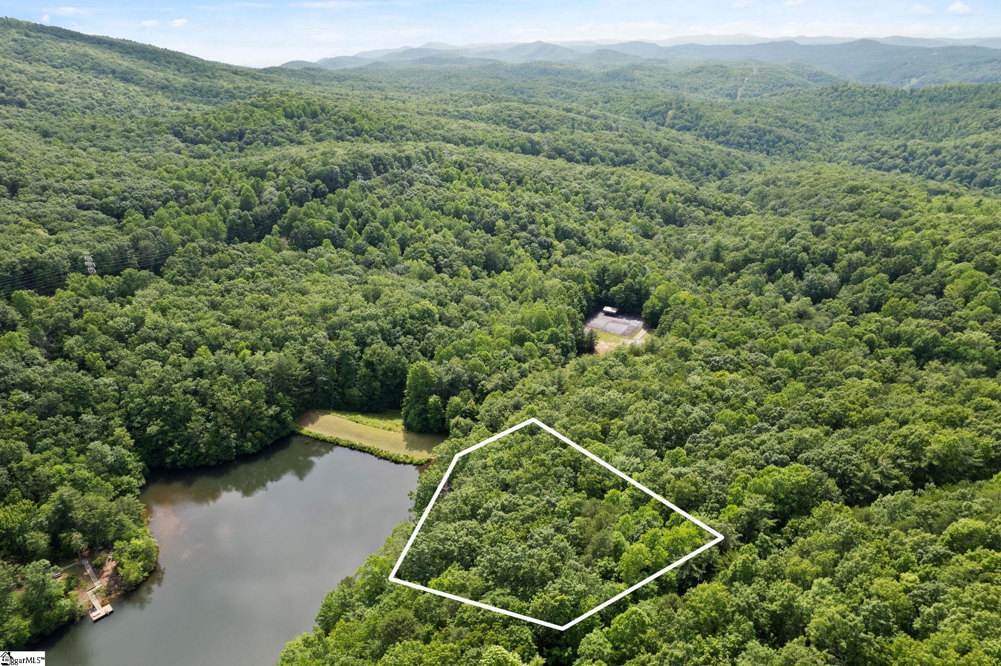 430 Lakeview, Saluda, North Carolina image 2