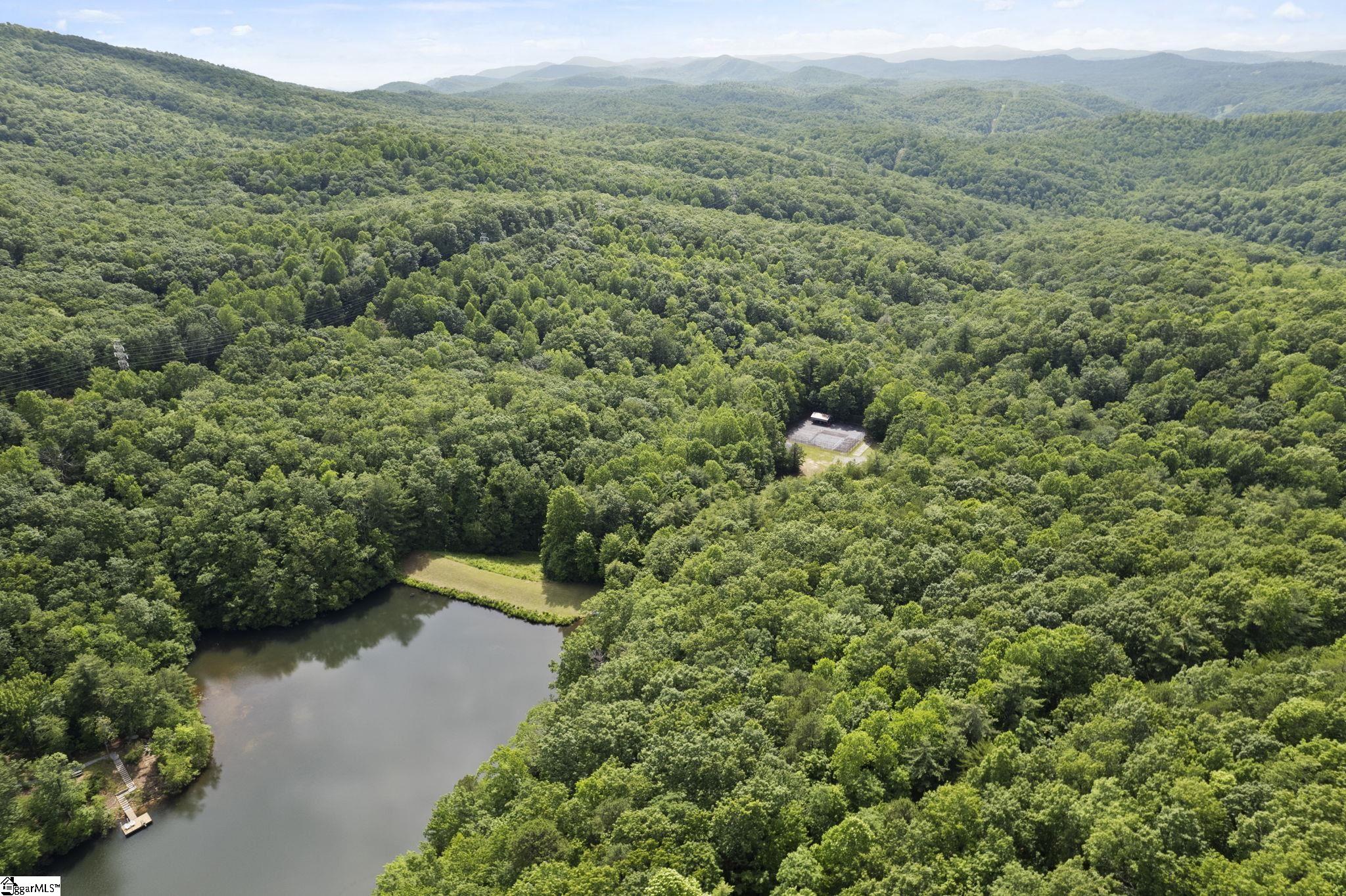 430 Lakeview, Saluda, North Carolina image 11