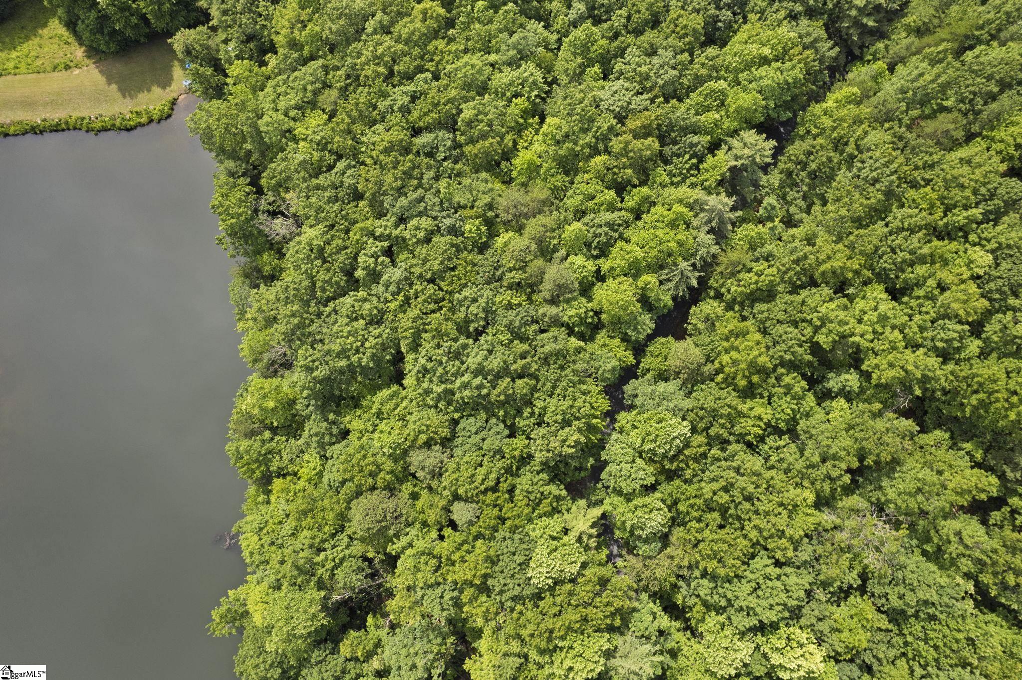 430 Lakeview, Saluda, North Carolina image 13
