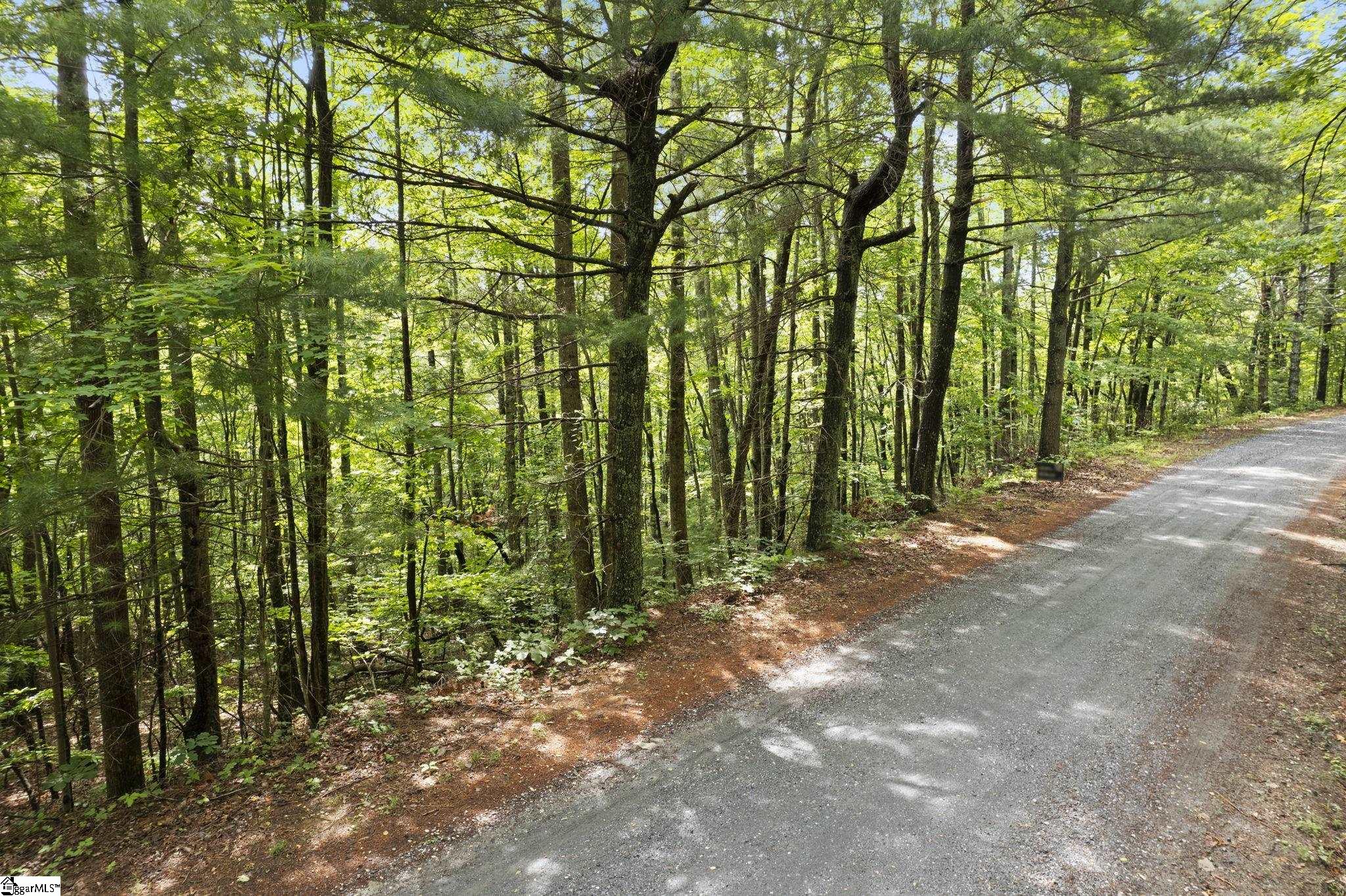 430 Lakeview, Saluda, North Carolina image 16