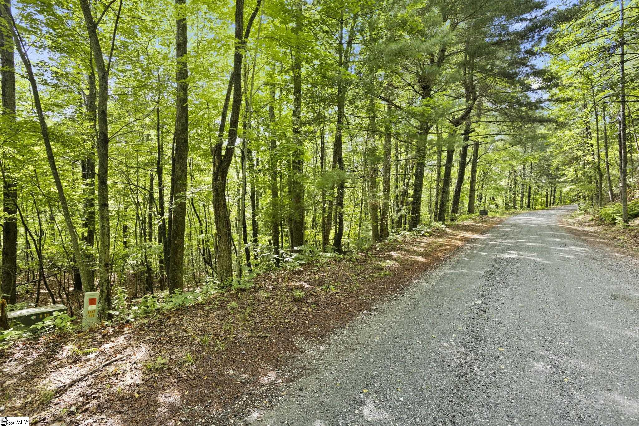 430 Lakeview, Saluda, North Carolina image 3