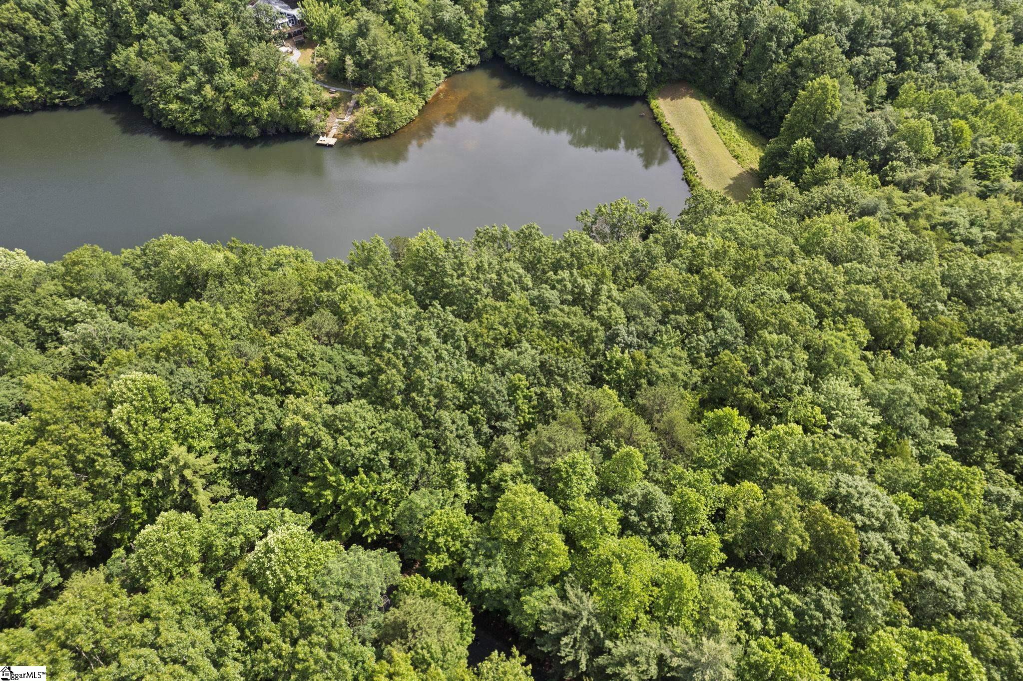 430 Lakeview, Saluda, North Carolina image 4