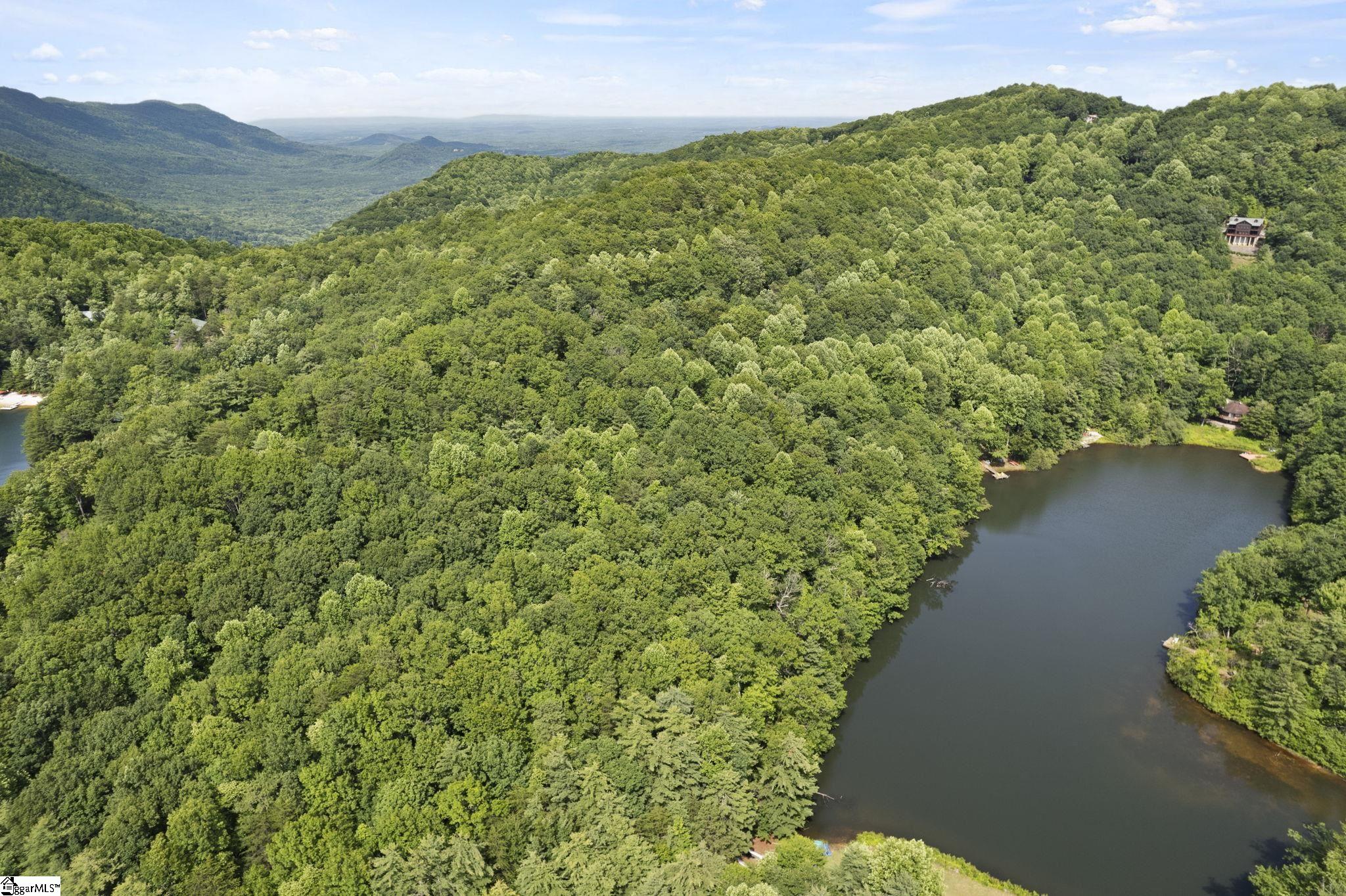 430 Lakeview, Saluda, North Carolina image 6