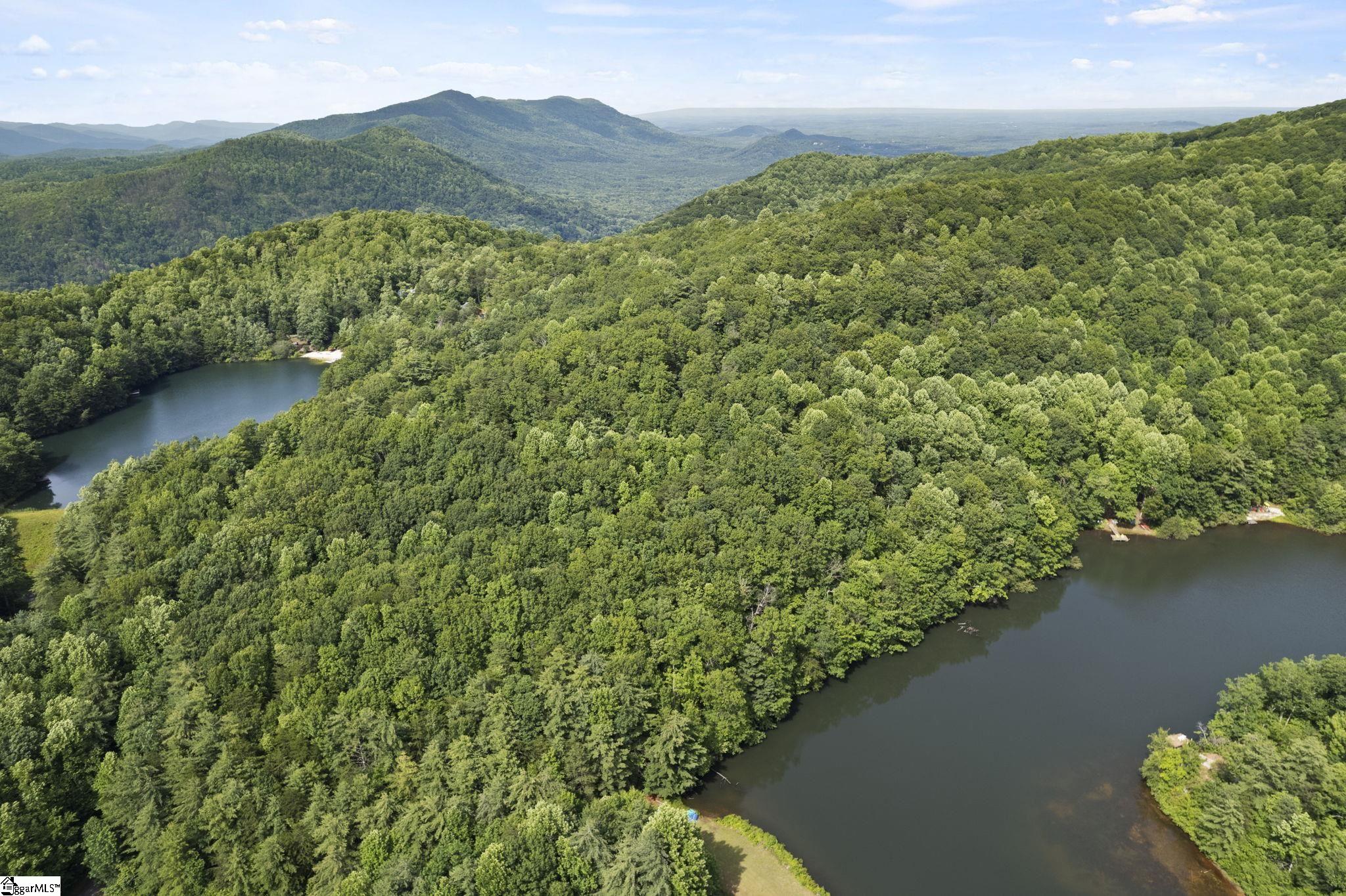 430 Lakeview, Saluda, North Carolina image 7