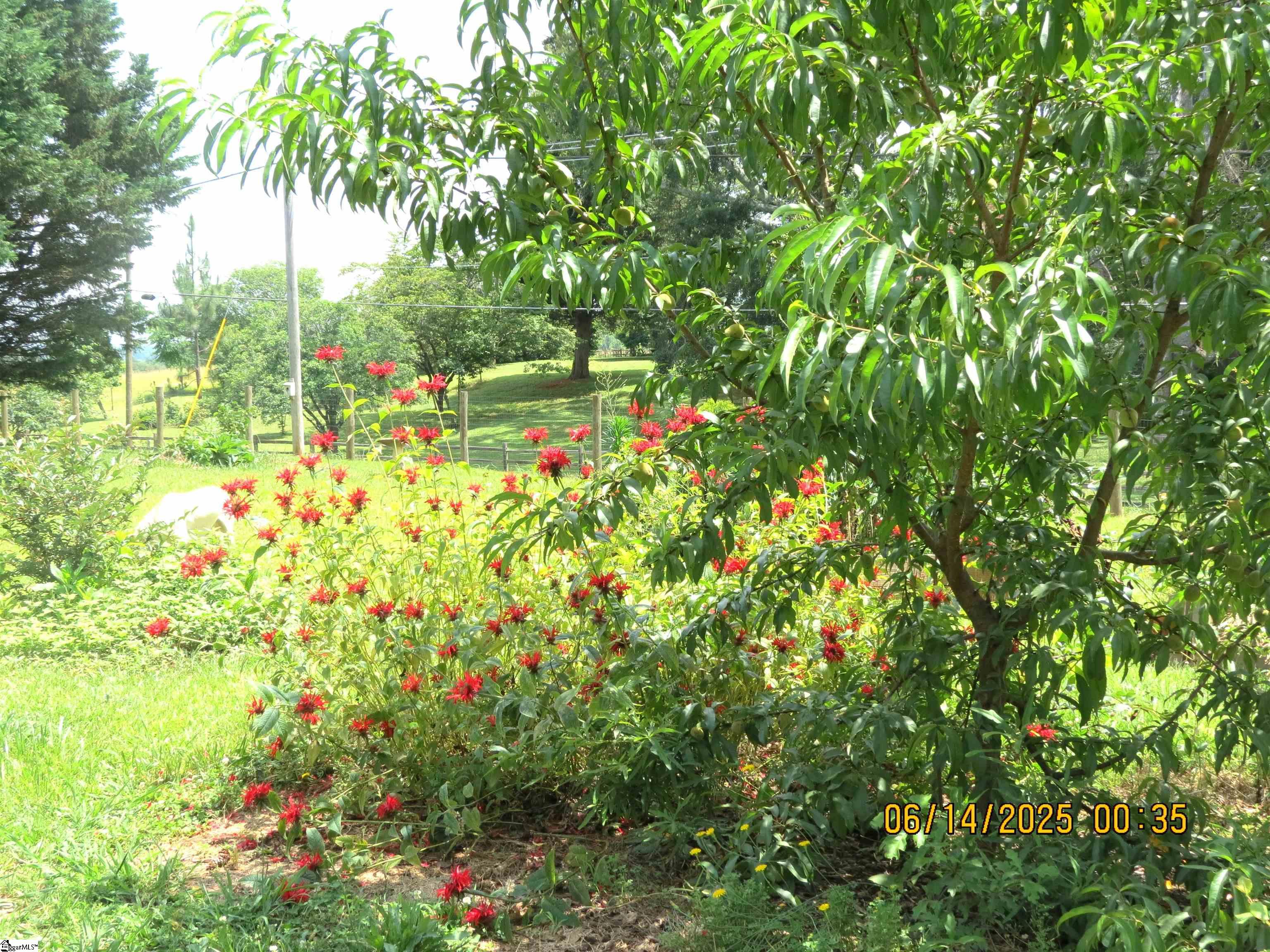 MLS #1560650 image #27