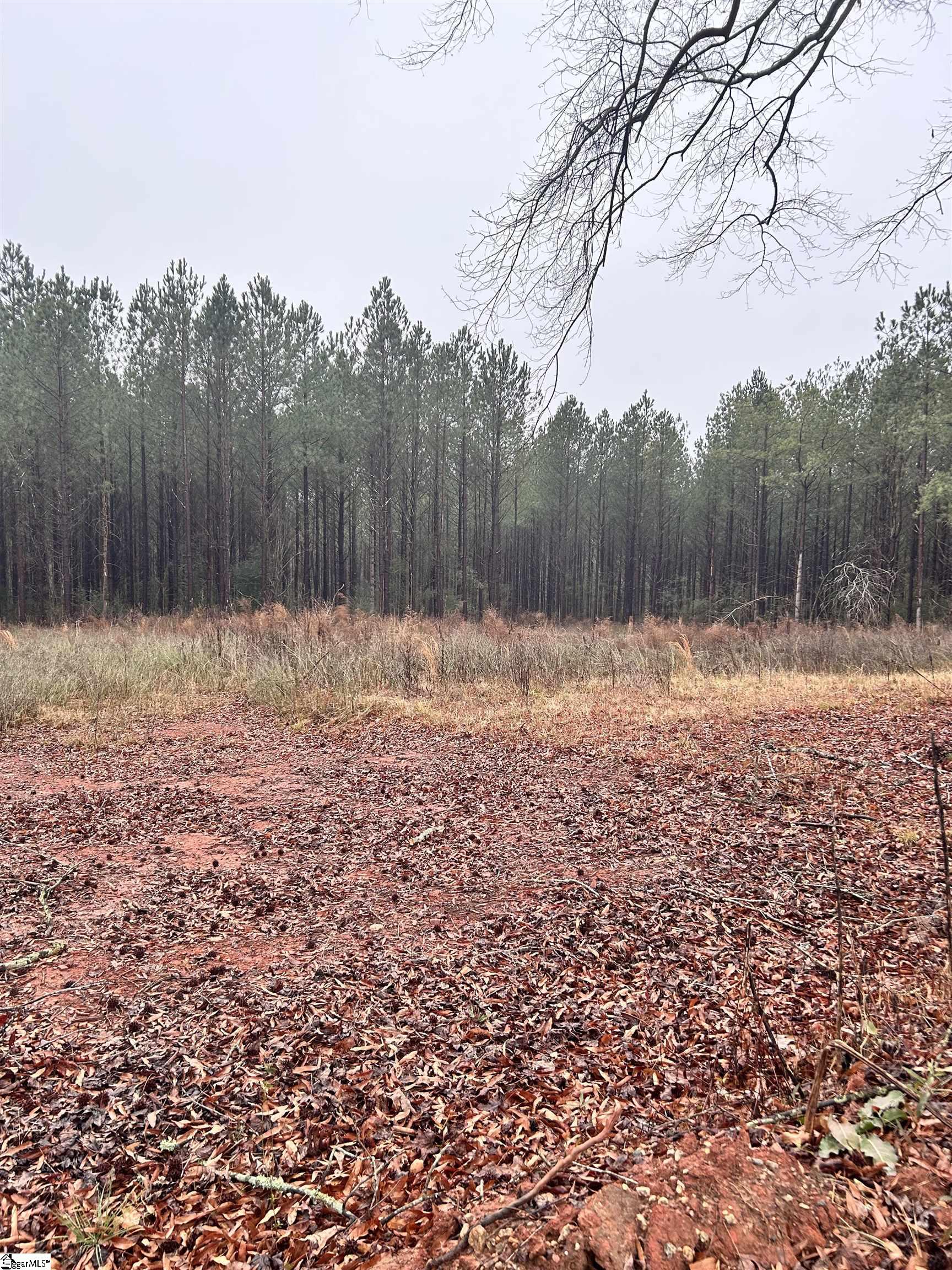 00 Columbia, Edgefield, South Carolina image 7