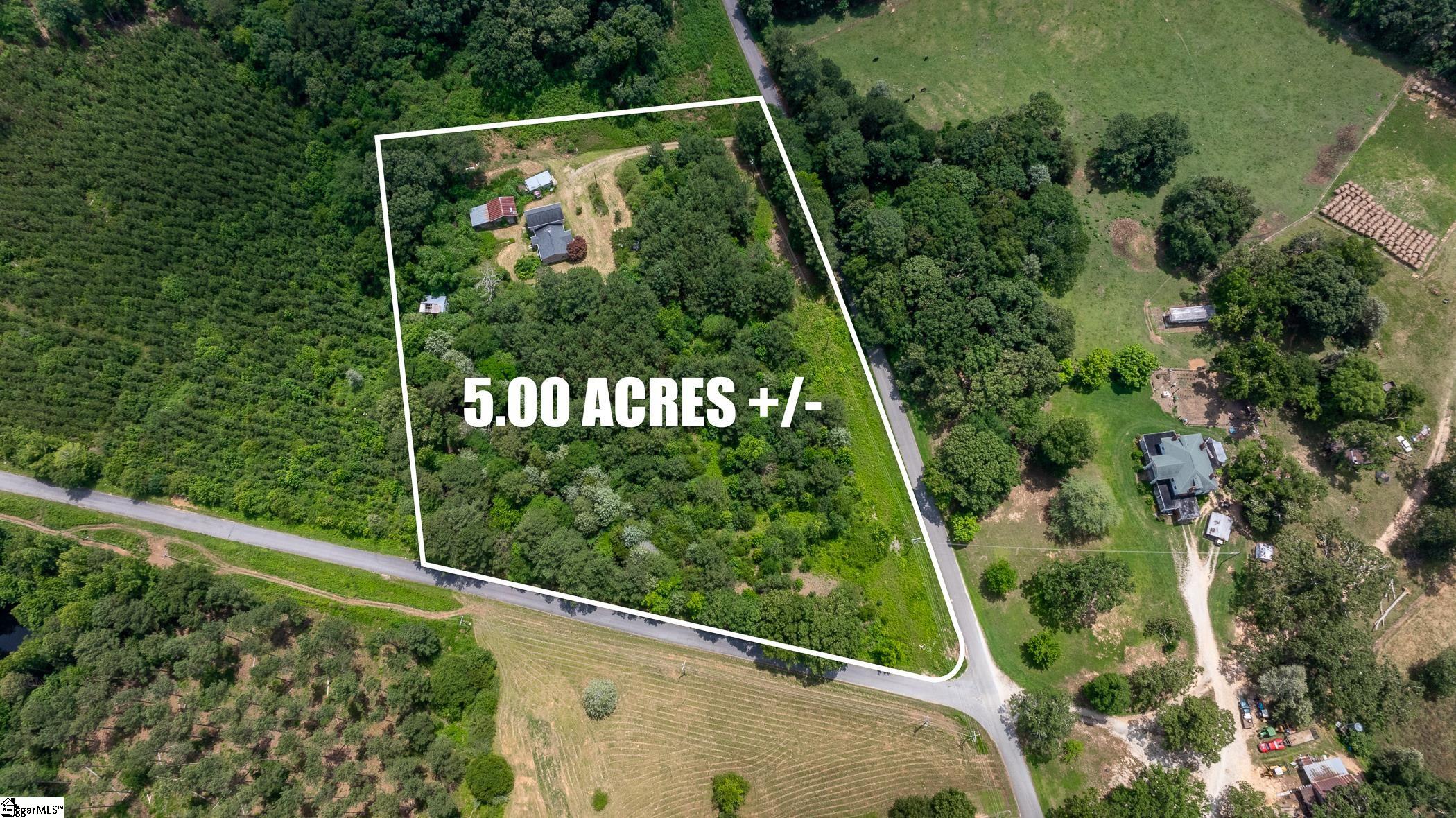 2180 Horseshoe Falls, Enoree, South Carolina image 4