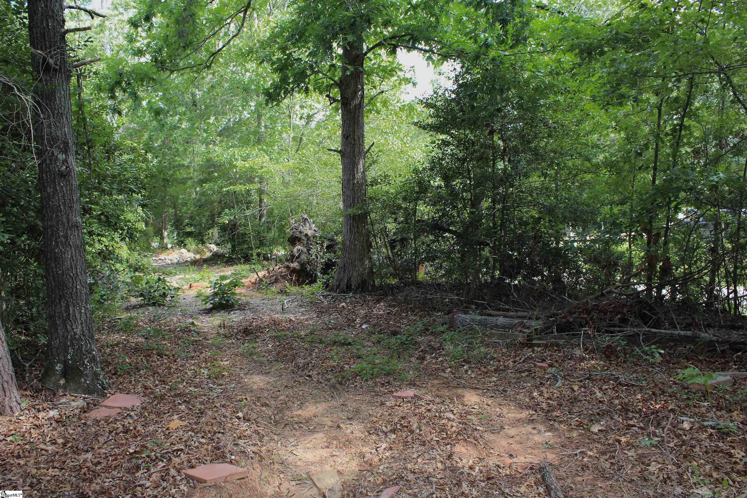 147 Reagan, Woodruff, South Carolina image 15