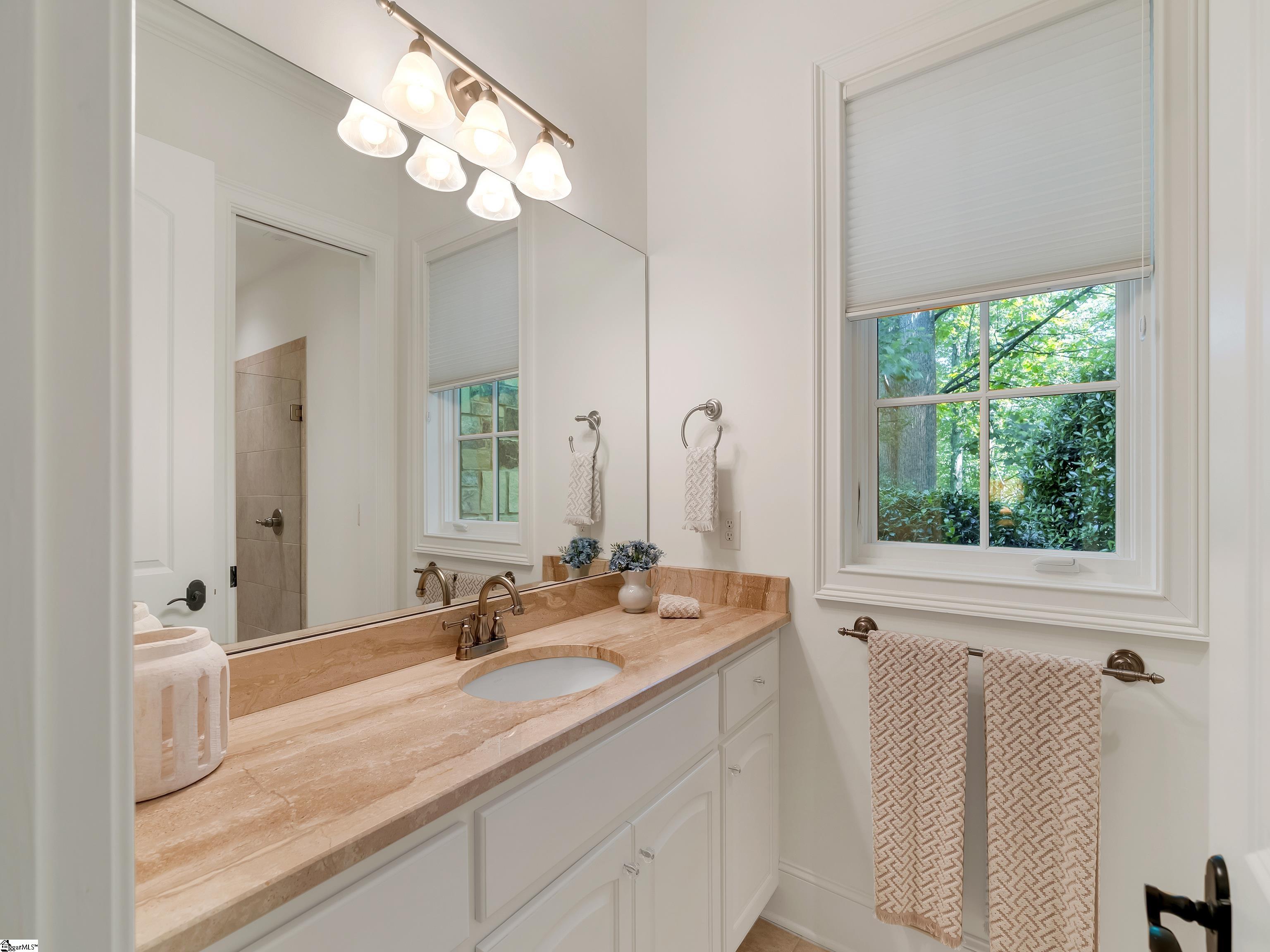 24 Lake Hills, Travelers Rest, South Carolina image 44