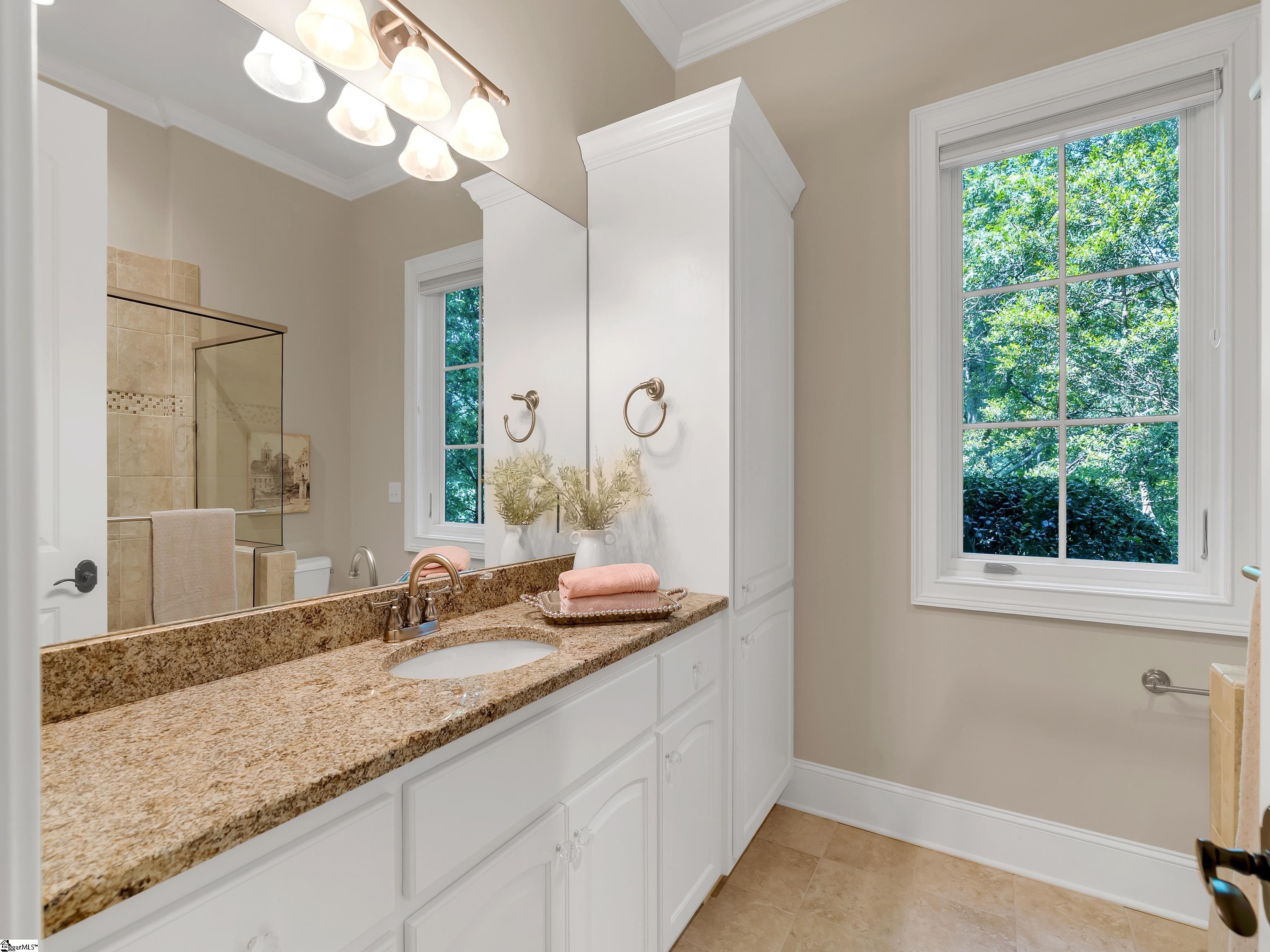 24 Lake Hills, Travelers Rest, South Carolina image 46