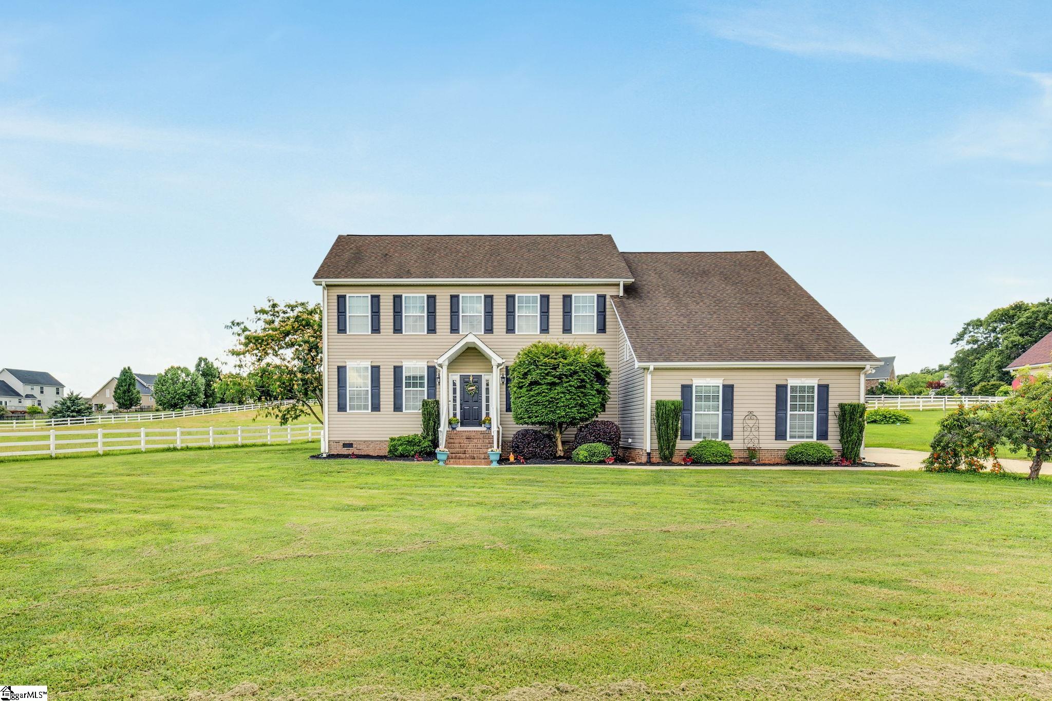 112 Friesian, Pelzer, South Carolina image 2