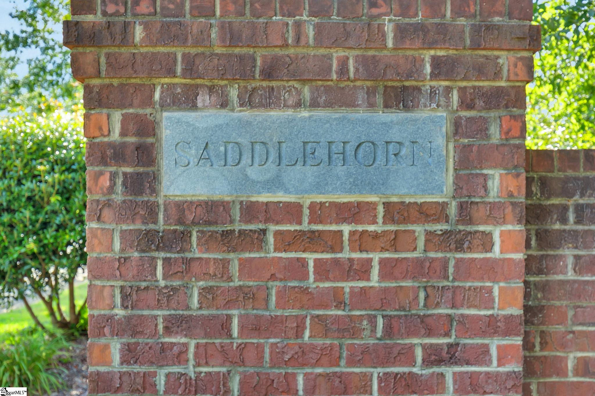 112 Friesian, Pelzer, South Carolina image 46