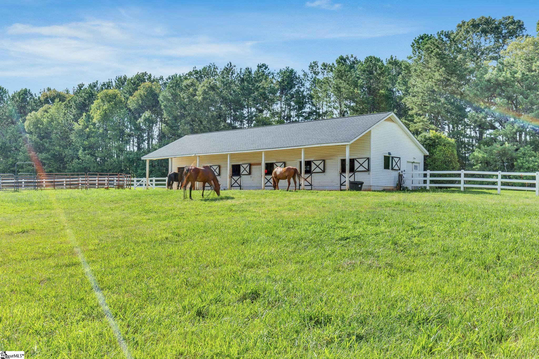 112 Friesian, Pelzer, South Carolina image 47