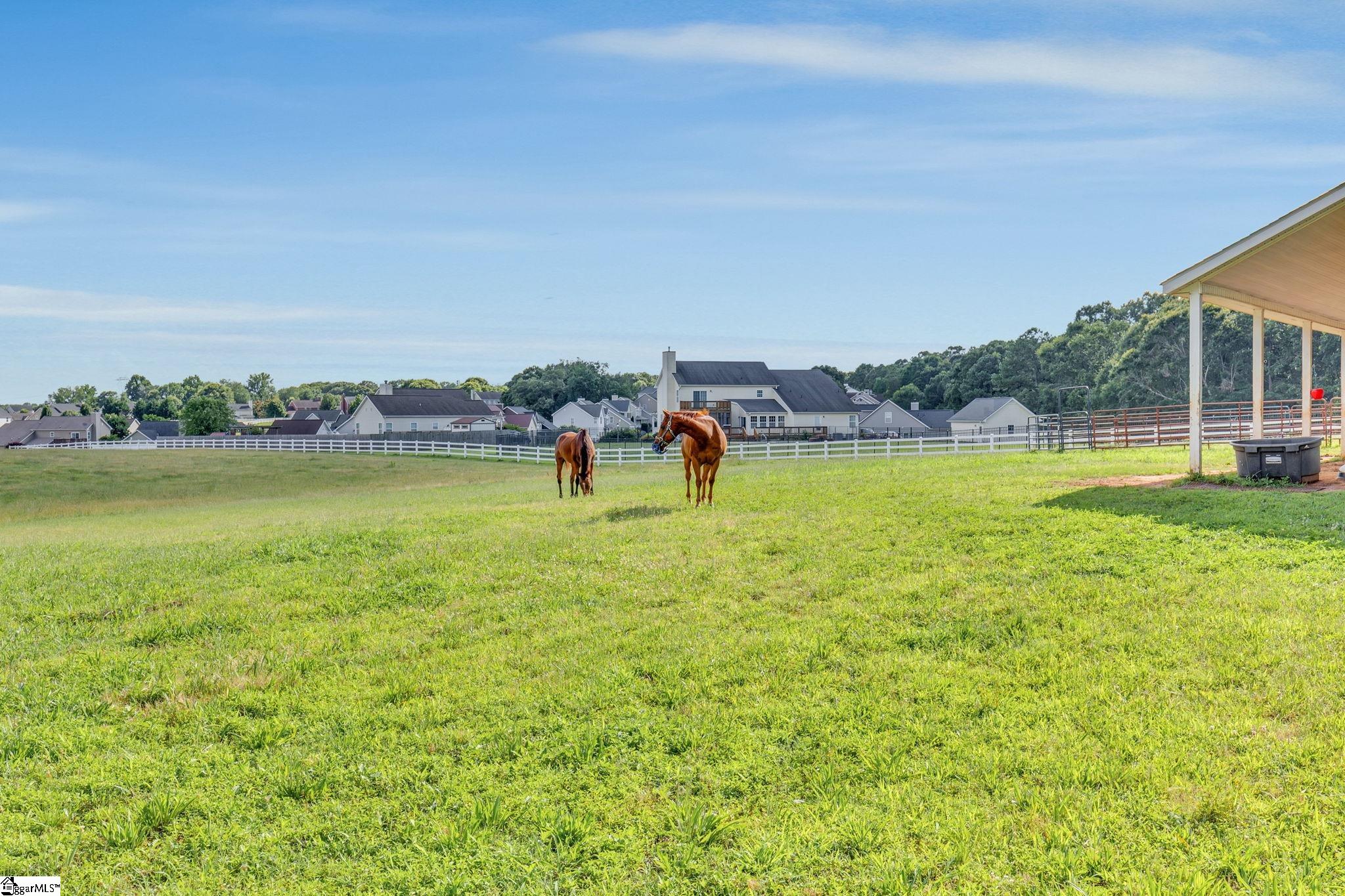 112 Friesian, Pelzer, South Carolina image 48