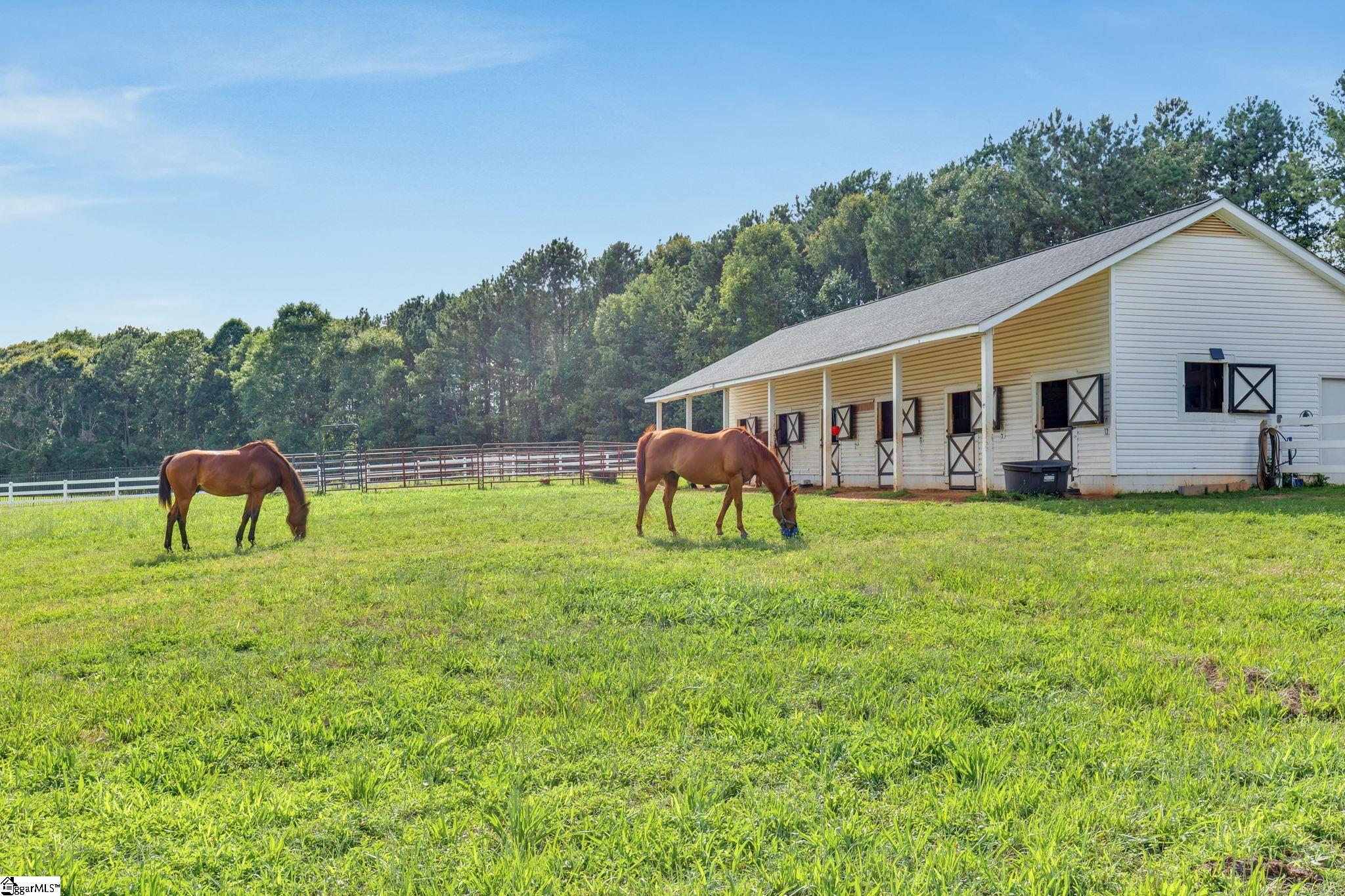 112 Friesian, Pelzer, South Carolina image 49