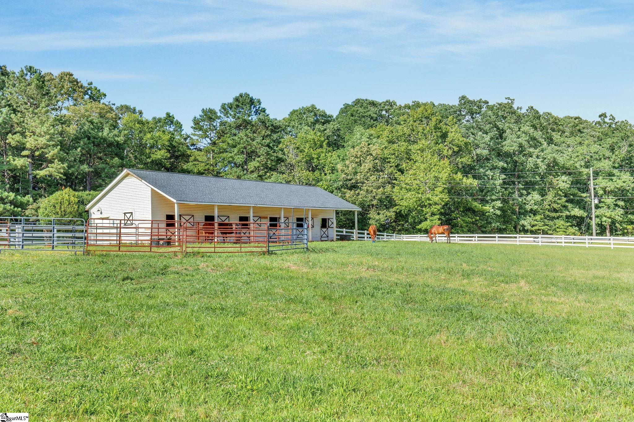 112 Friesian, Pelzer, South Carolina image 50