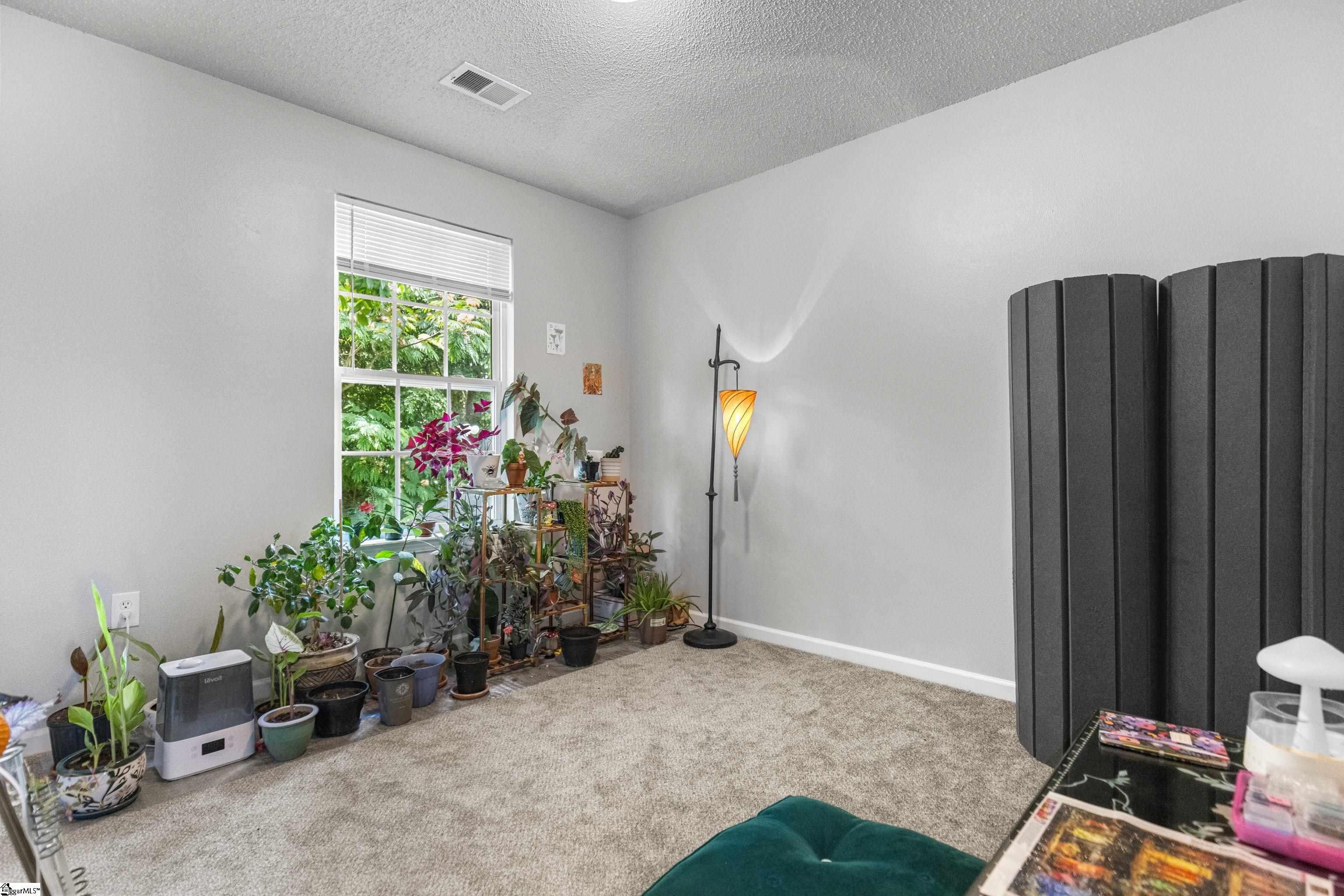38 Buff, Greenville, South Carolina image 12
