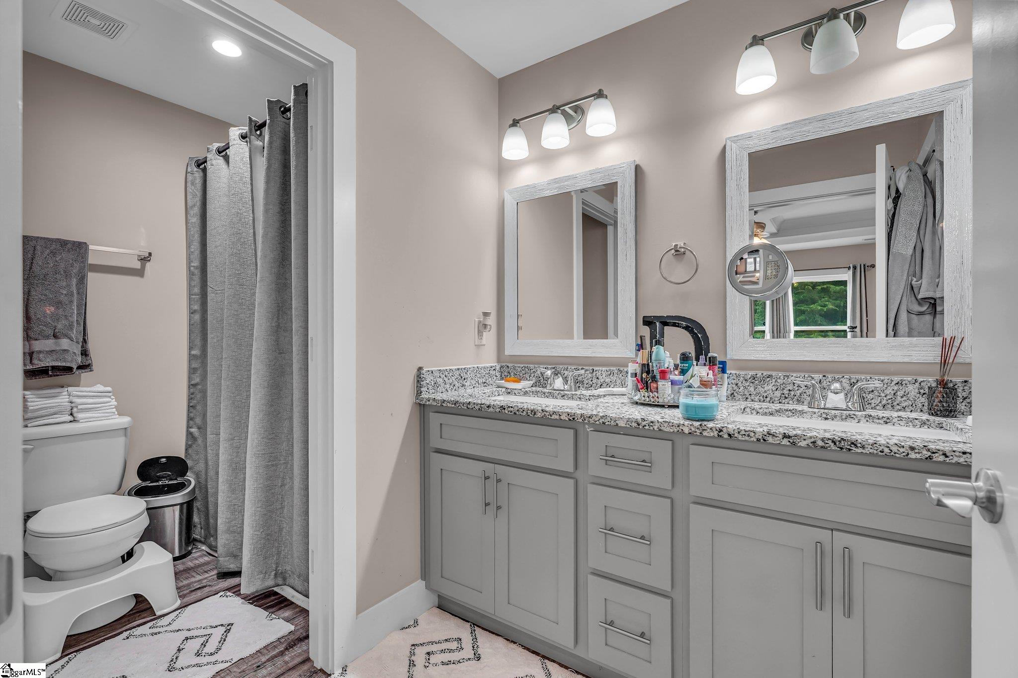 433 Analyse, Wellford, South Carolina image 14