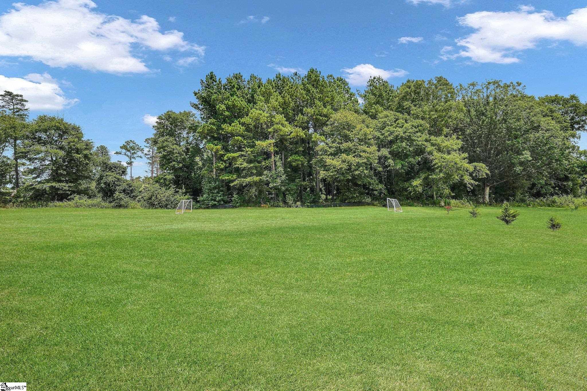 Massive half acre backyard