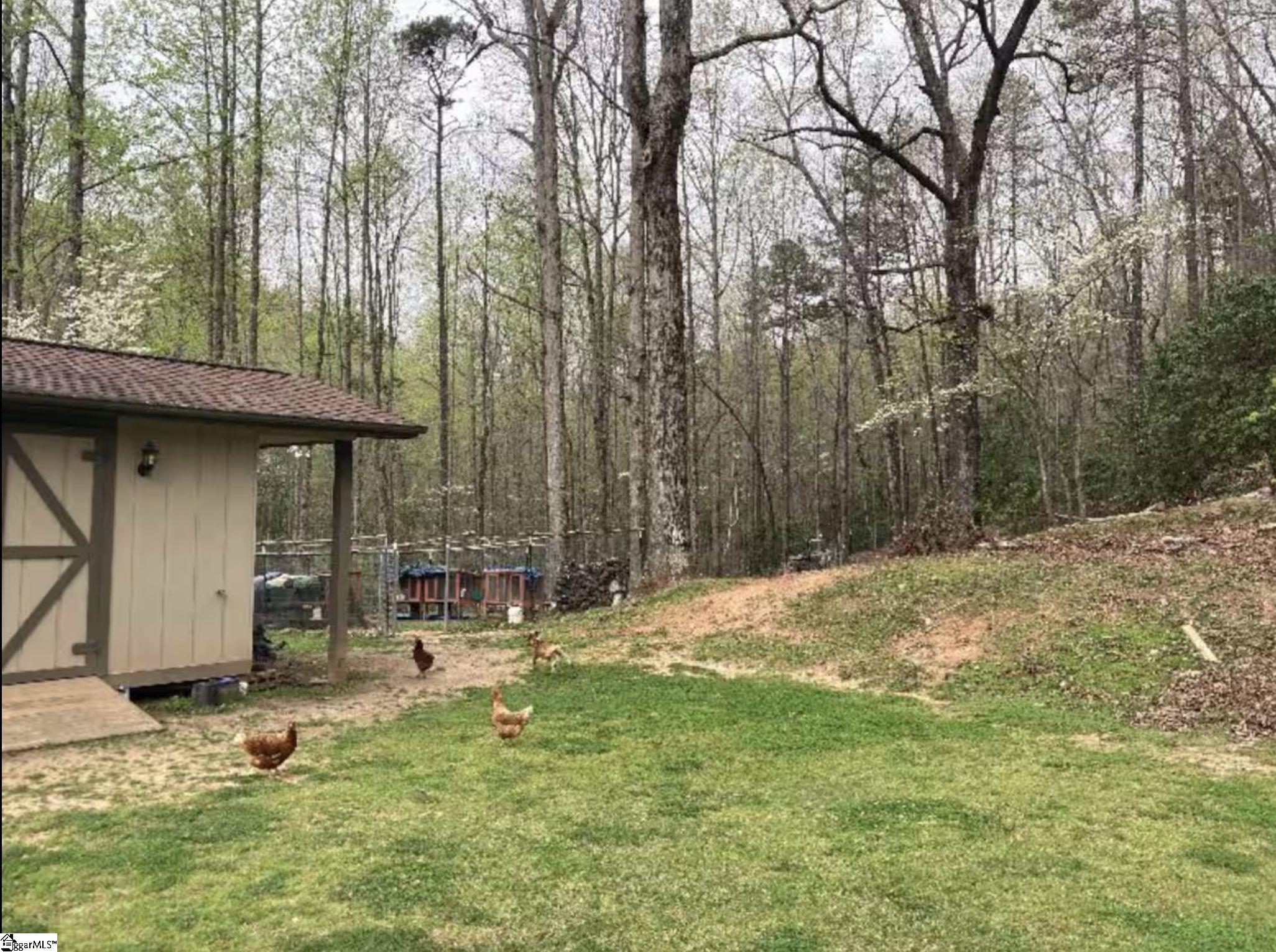 300 Castle Creek, Pickens, South Carolina image 13
