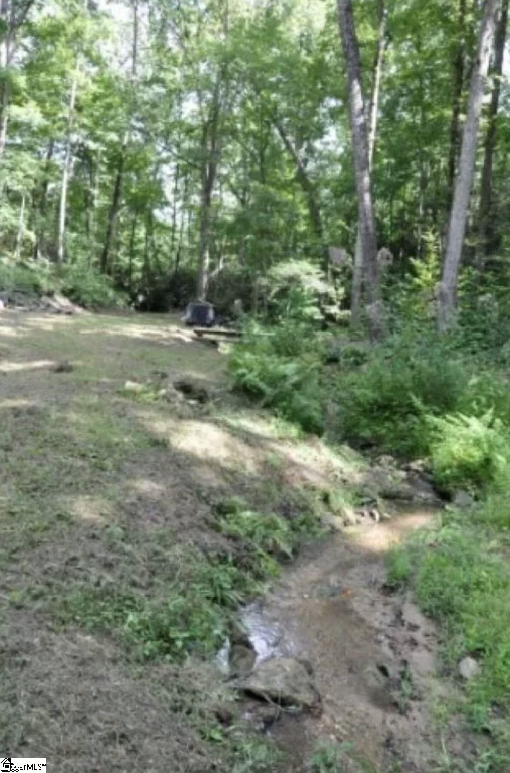 300 Castle Creek, Pickens, South Carolina image 15