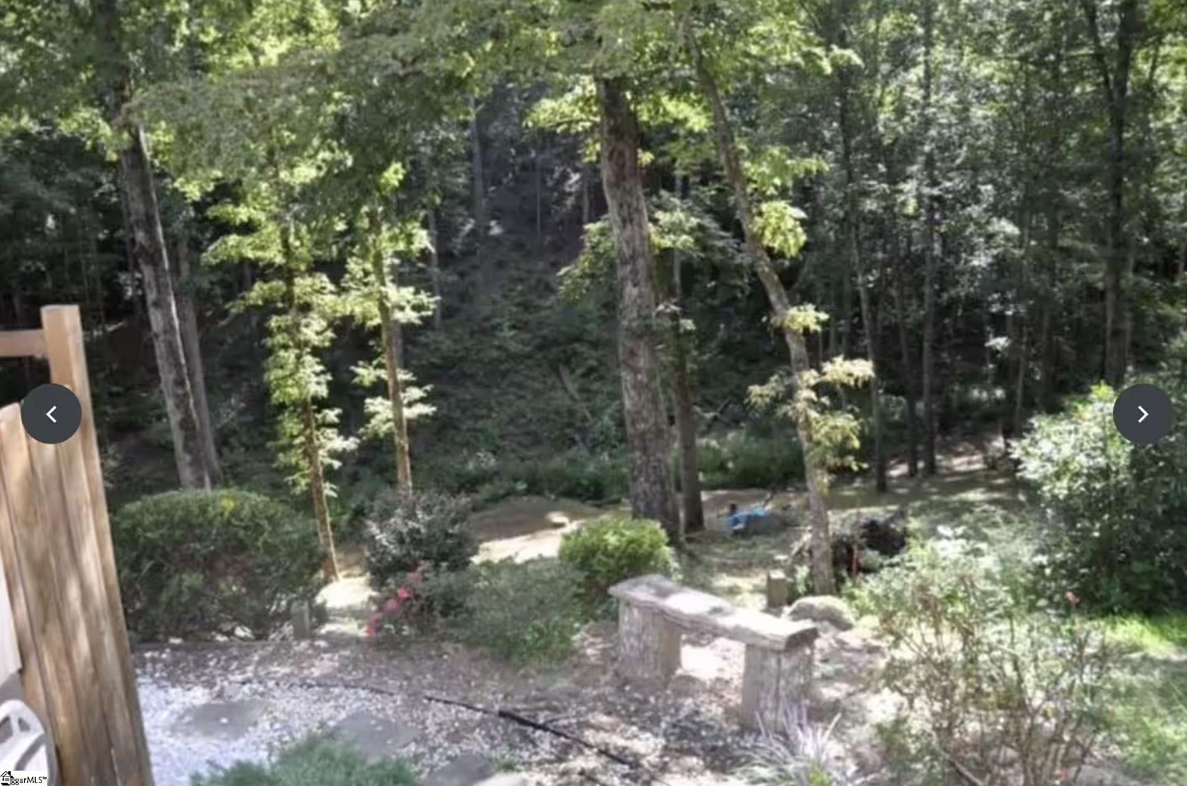 300 Castle Creek, Pickens, South Carolina image 16