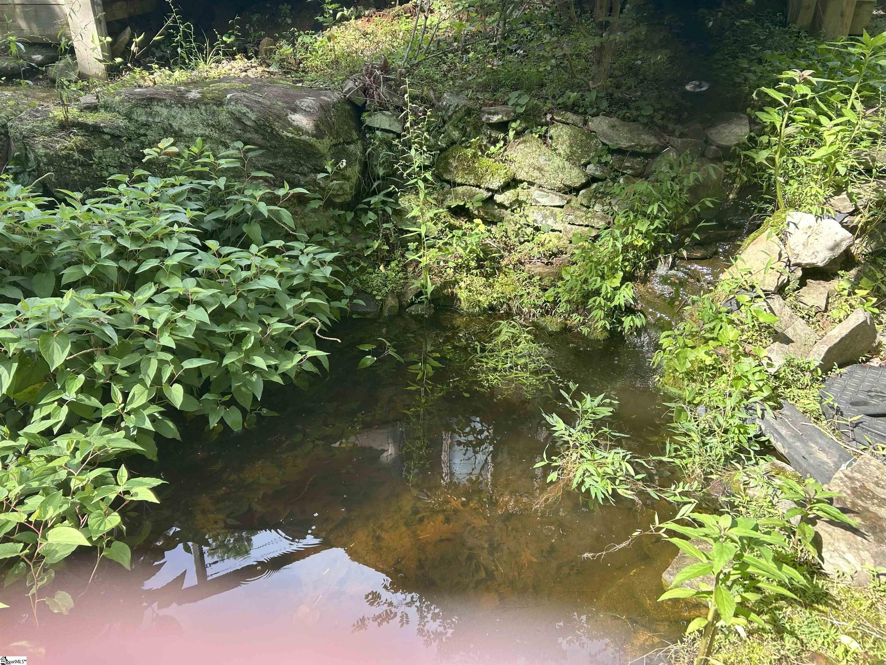300 Castle Creek, Pickens, South Carolina image 18