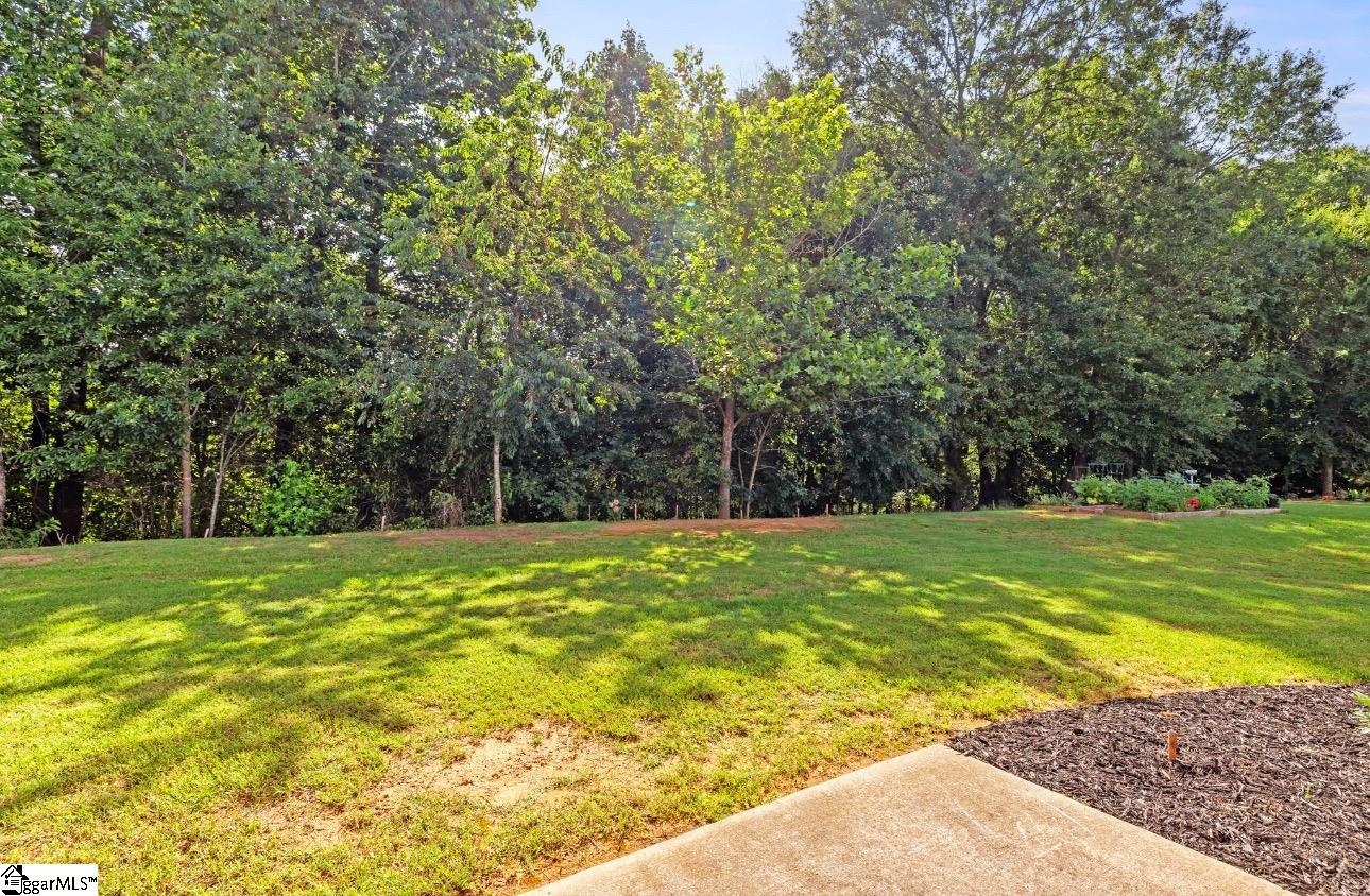 714 Cremello, Moore, South Carolina image 4
