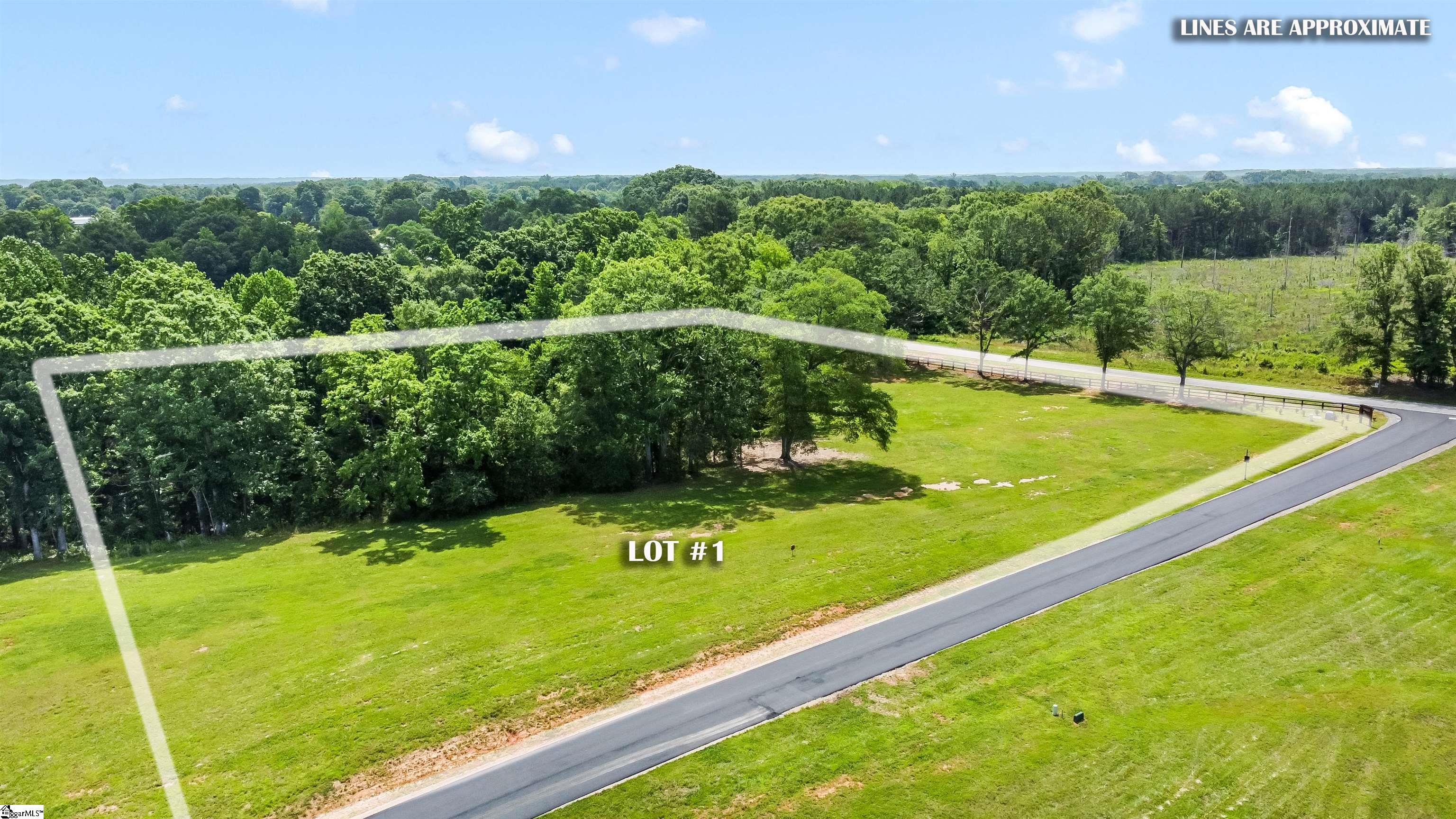 110 Flowing Rock, Honea Path, South Carolina image 5