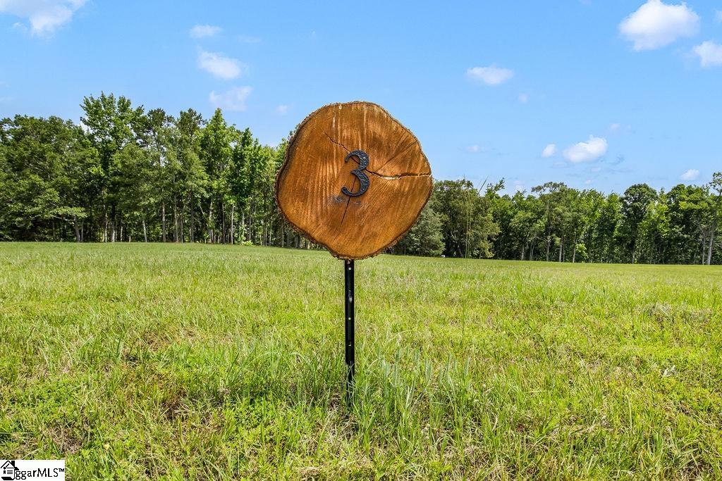 130 Flowing Rock, Honea Path, South Carolina image 8