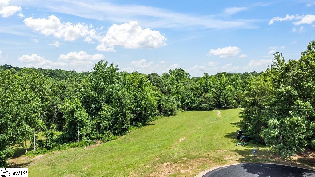 161 Flowing Rock, Honea Path, South Carolina image 5