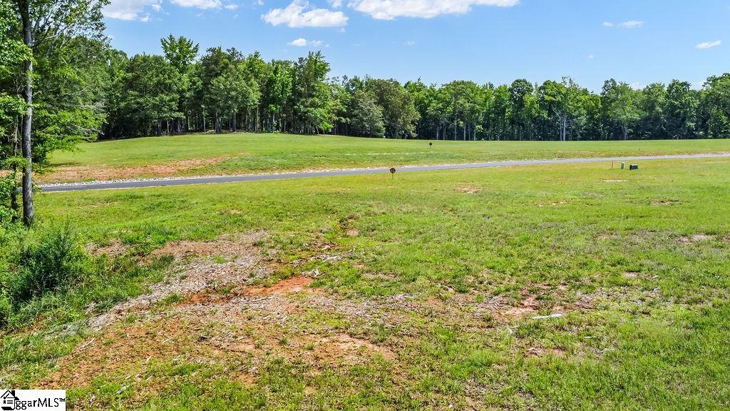 131 Flowing Rock, Honea Path, South Carolina image 5