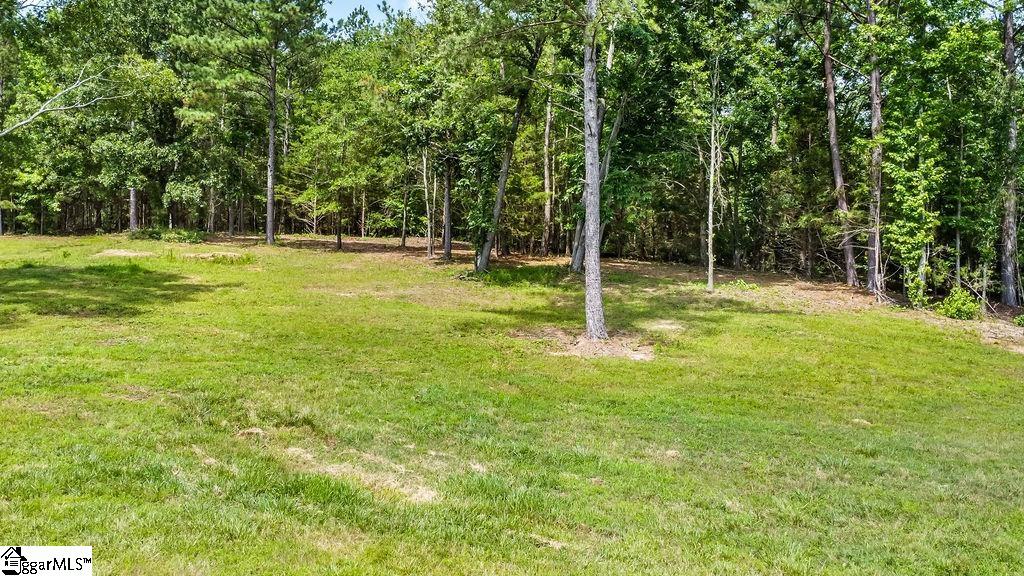 121 Flowing Rock, Honea Path, South Carolina image 2