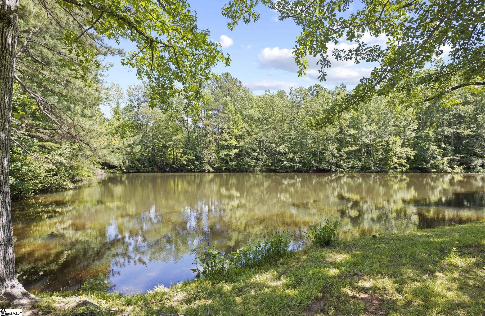 2220 S Blackstock, Landrum, South Carolina image 38