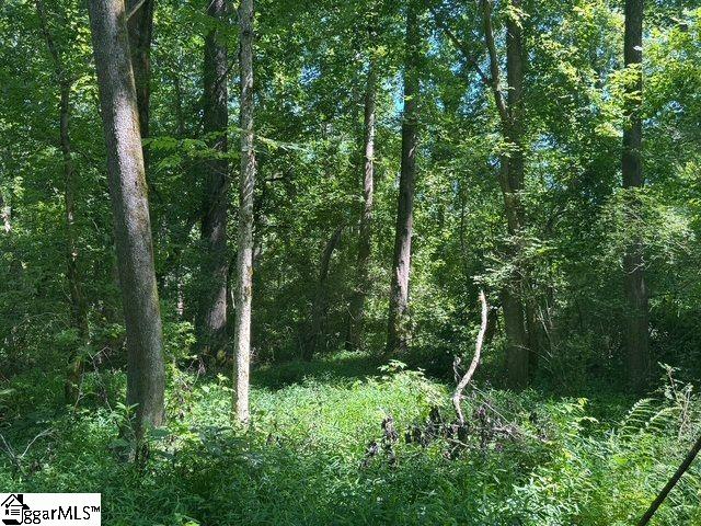 Berry Shoals, Duncan, South Carolina image 6