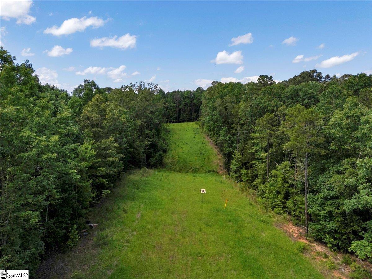 00 Long Branch, Enoree, South Carolina image 10