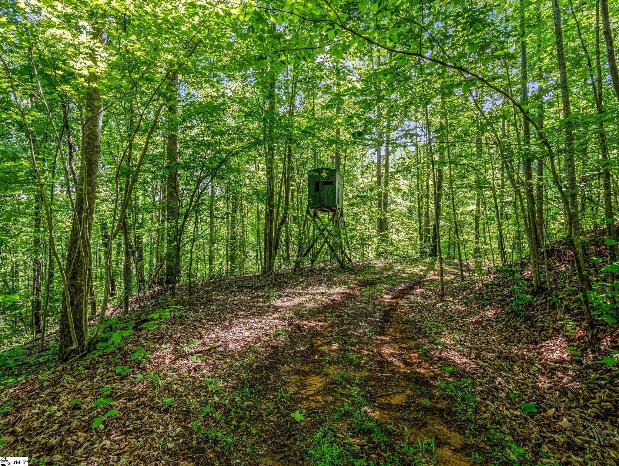 980 Mountain Forest, Union Mills, North Carolina image 35