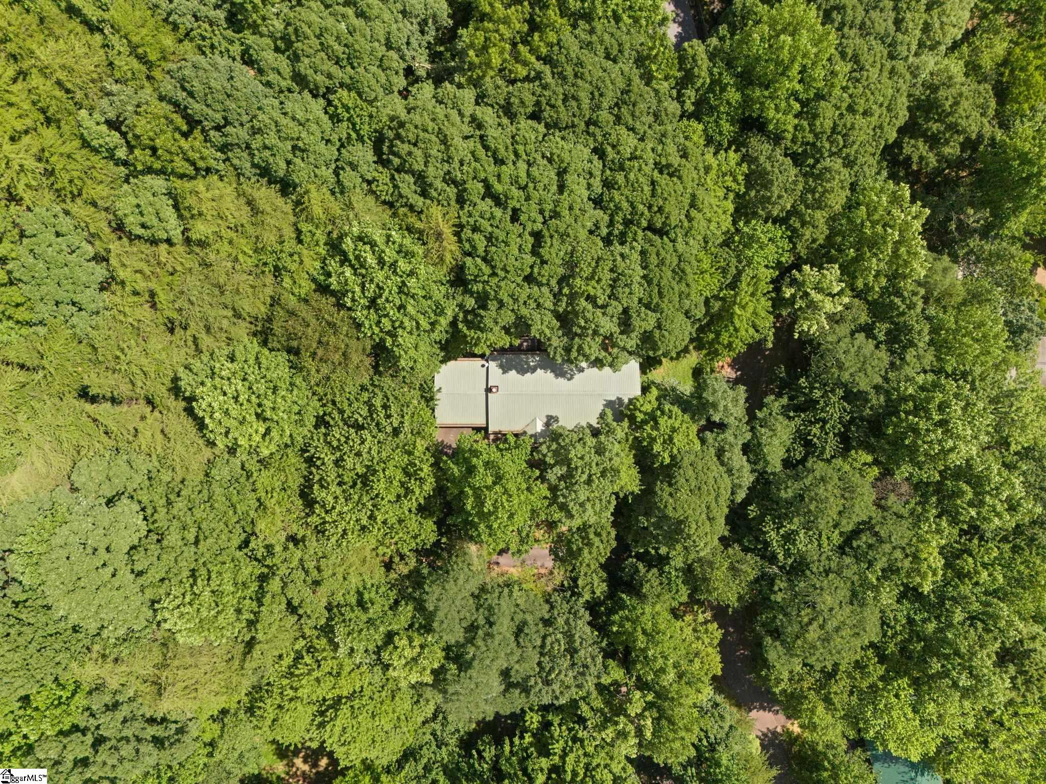 56 Cardinal, Tryon, North Carolina image 31