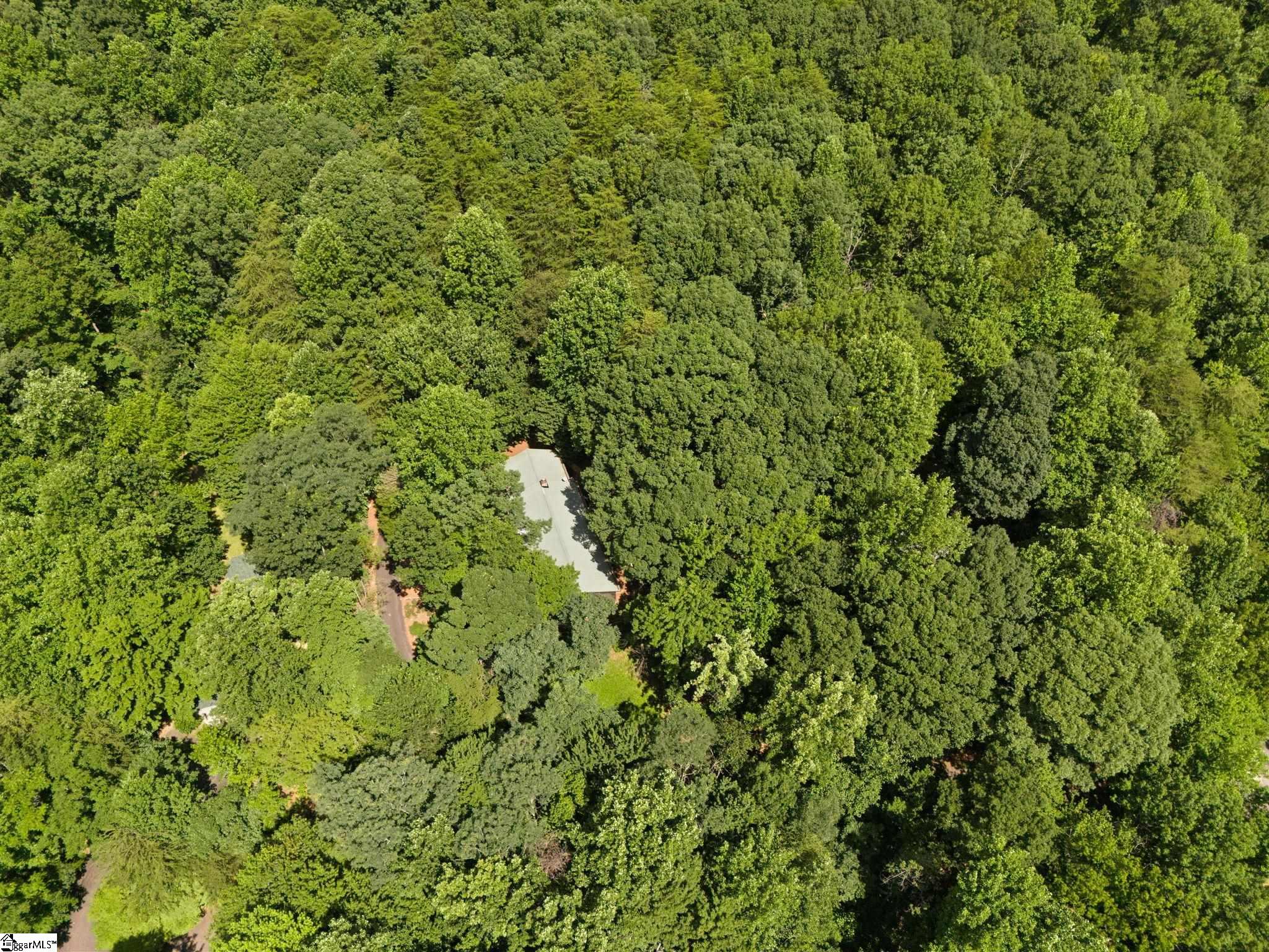 56 Cardinal, Tryon, North Carolina image 32