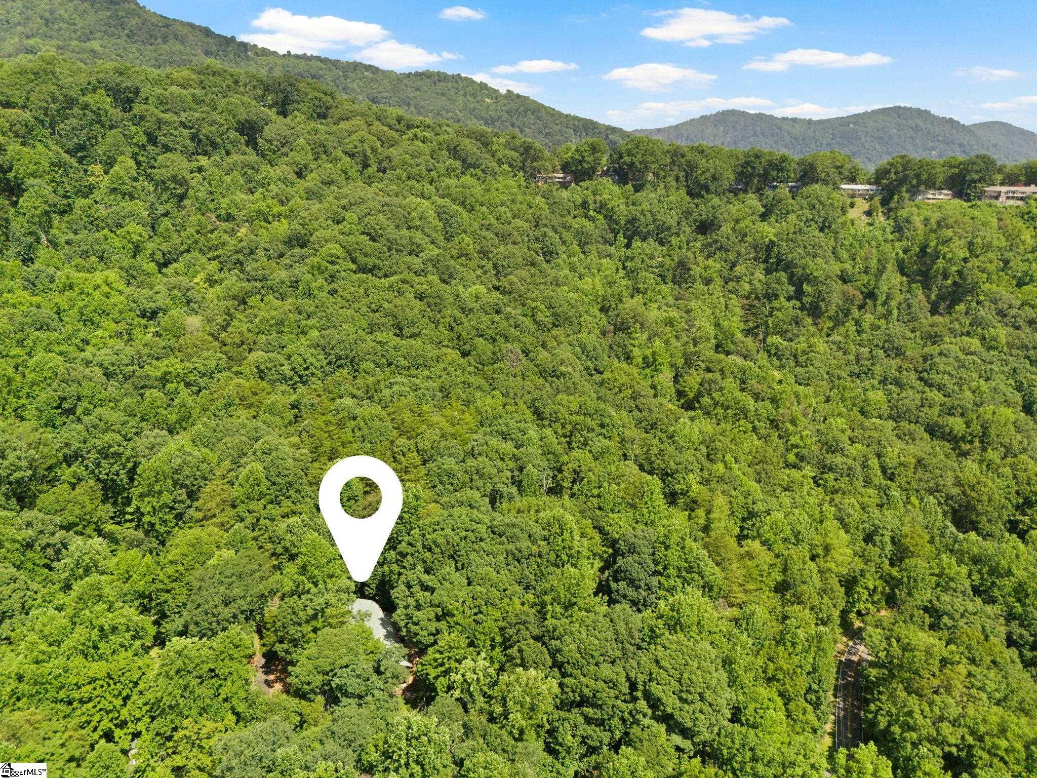 56 Cardinal, Tryon, North Carolina image 33
