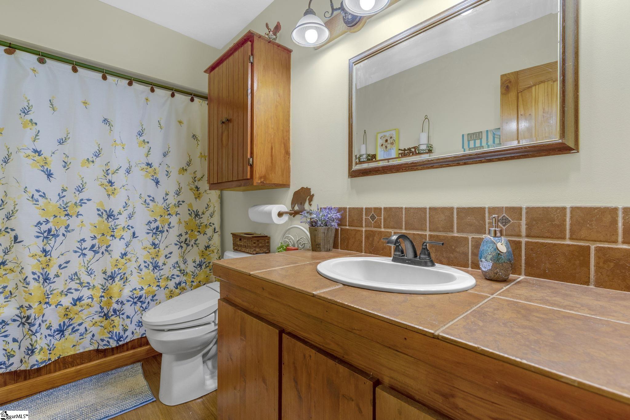 495 Pleasant Grove, Pickens, South Carolina image 19