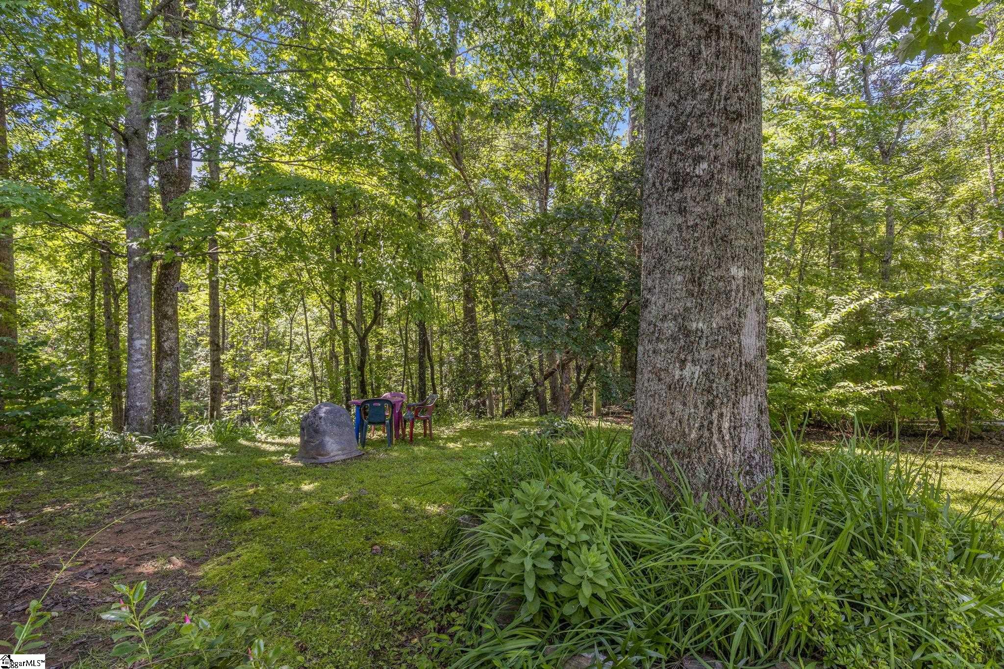 495 Pleasant Grove, Pickens, South Carolina image 28