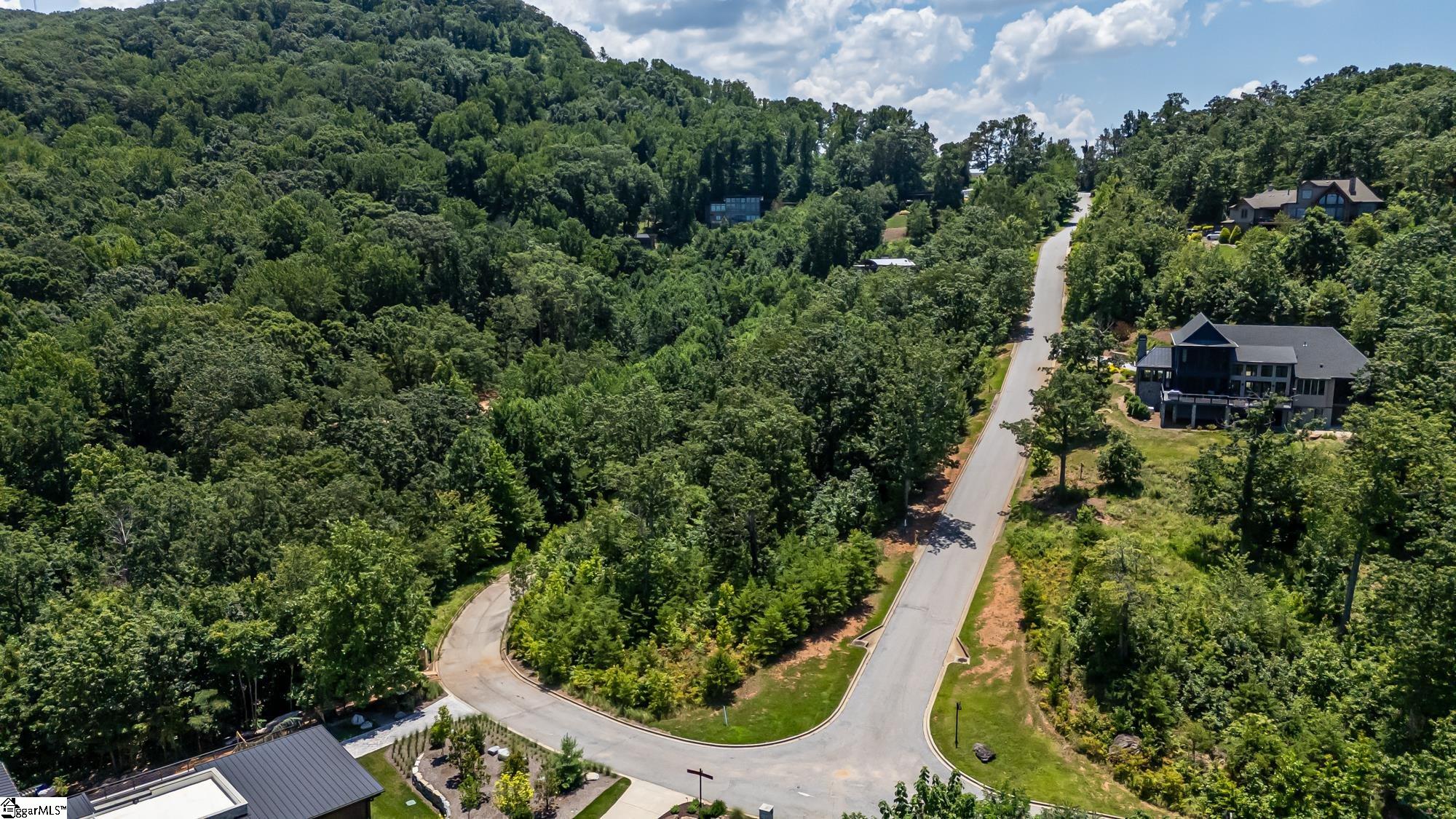 7 Tamala Gwinnett, Greenville, South Carolina image 2