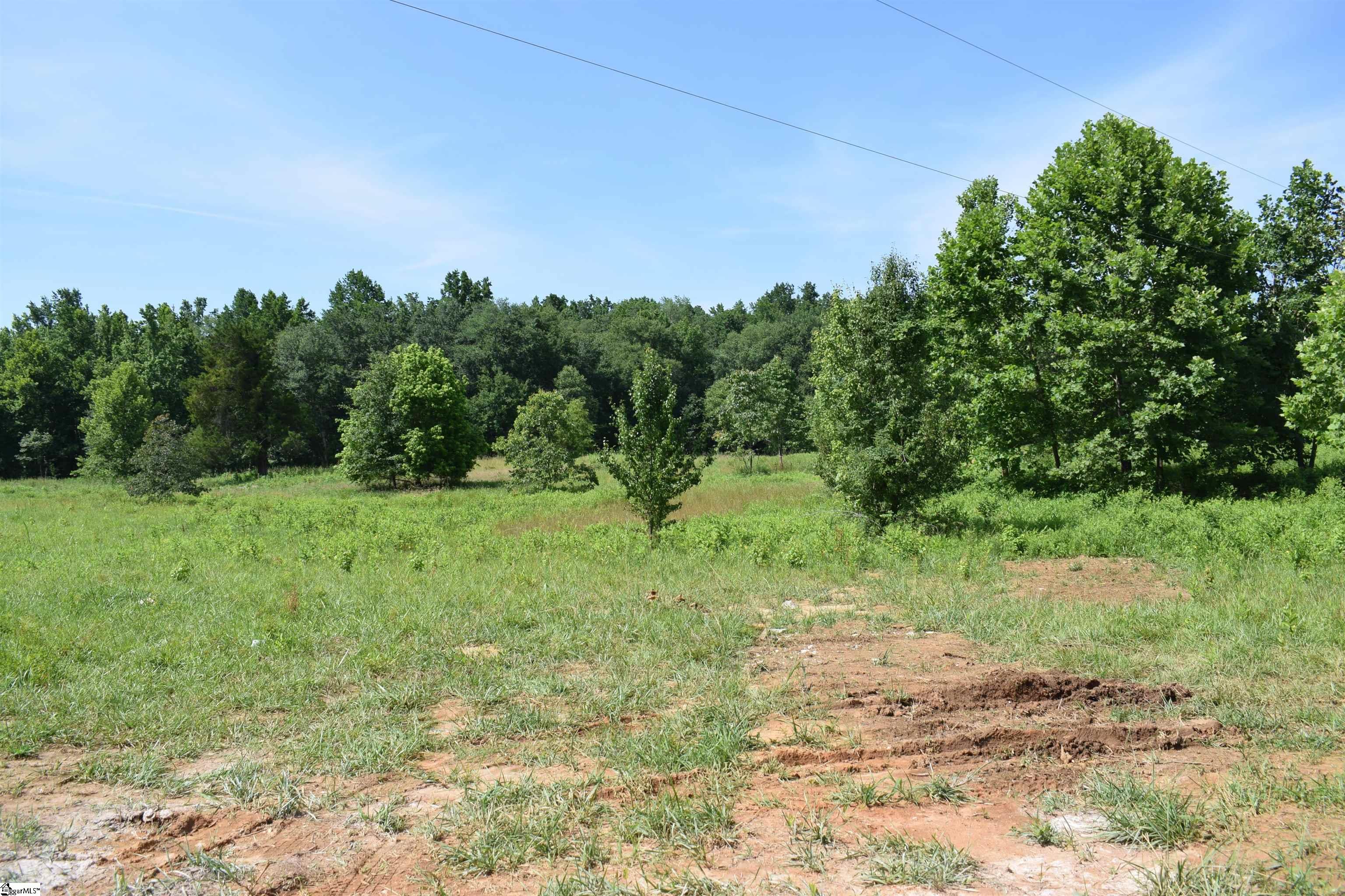960 Johnson, Columbus, North Carolina image 15