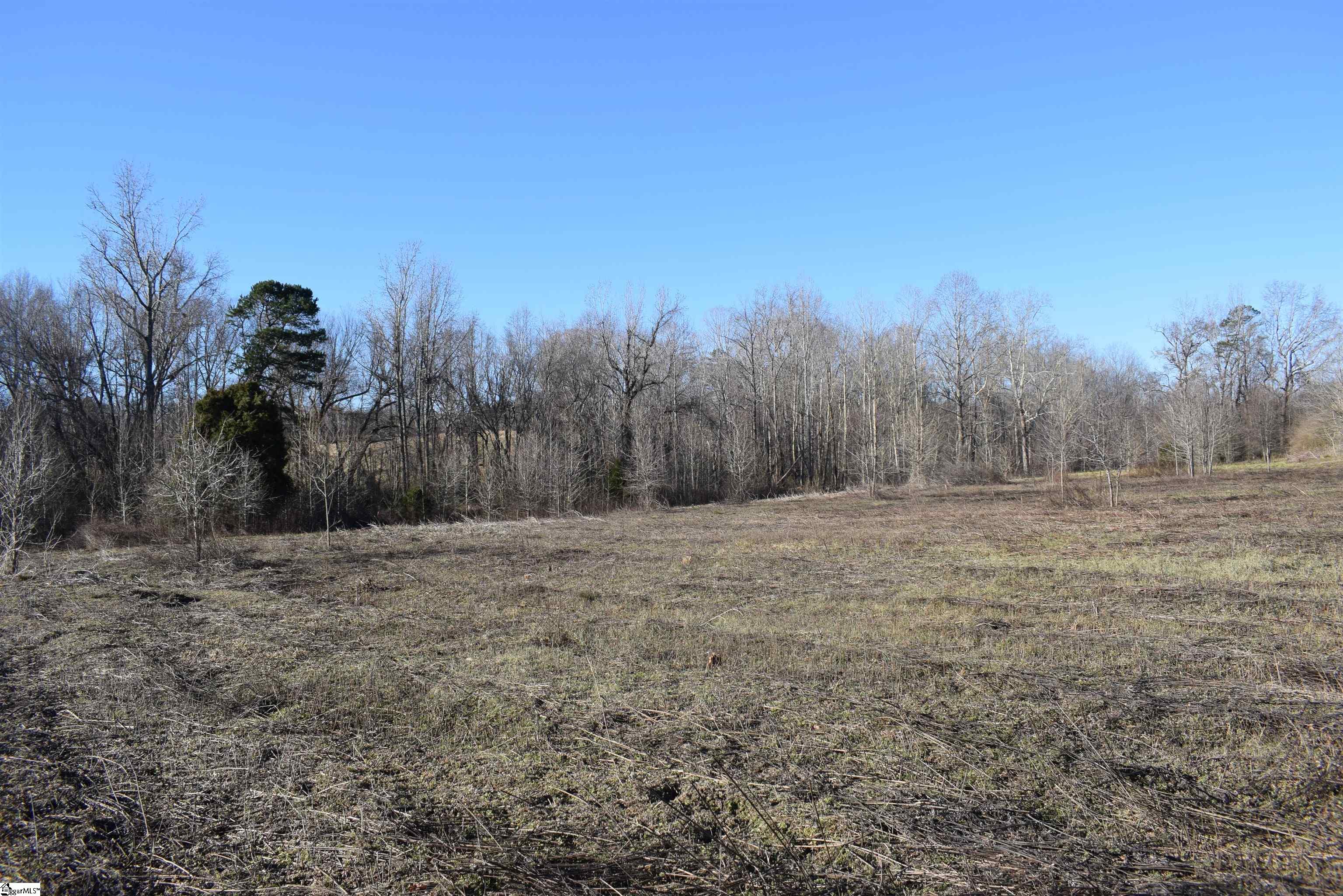 960 Johnson, Columbus, North Carolina image 22