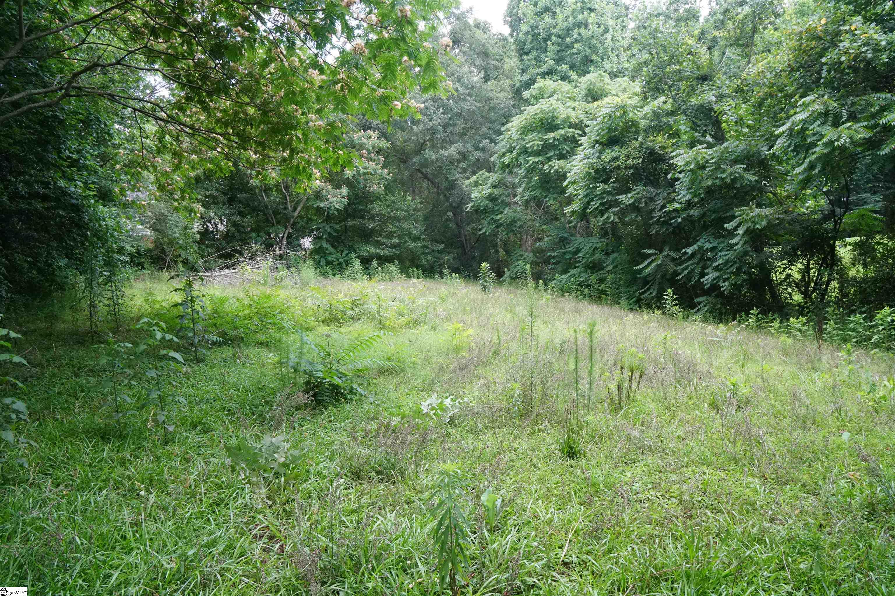 26 Queen, Fountain Inn, South Carolina image 3