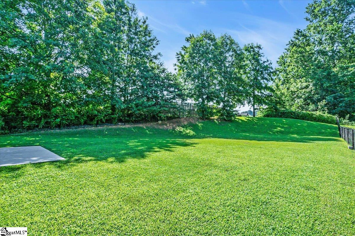 5 Caulfield, Fountain Inn, South Carolina image 33