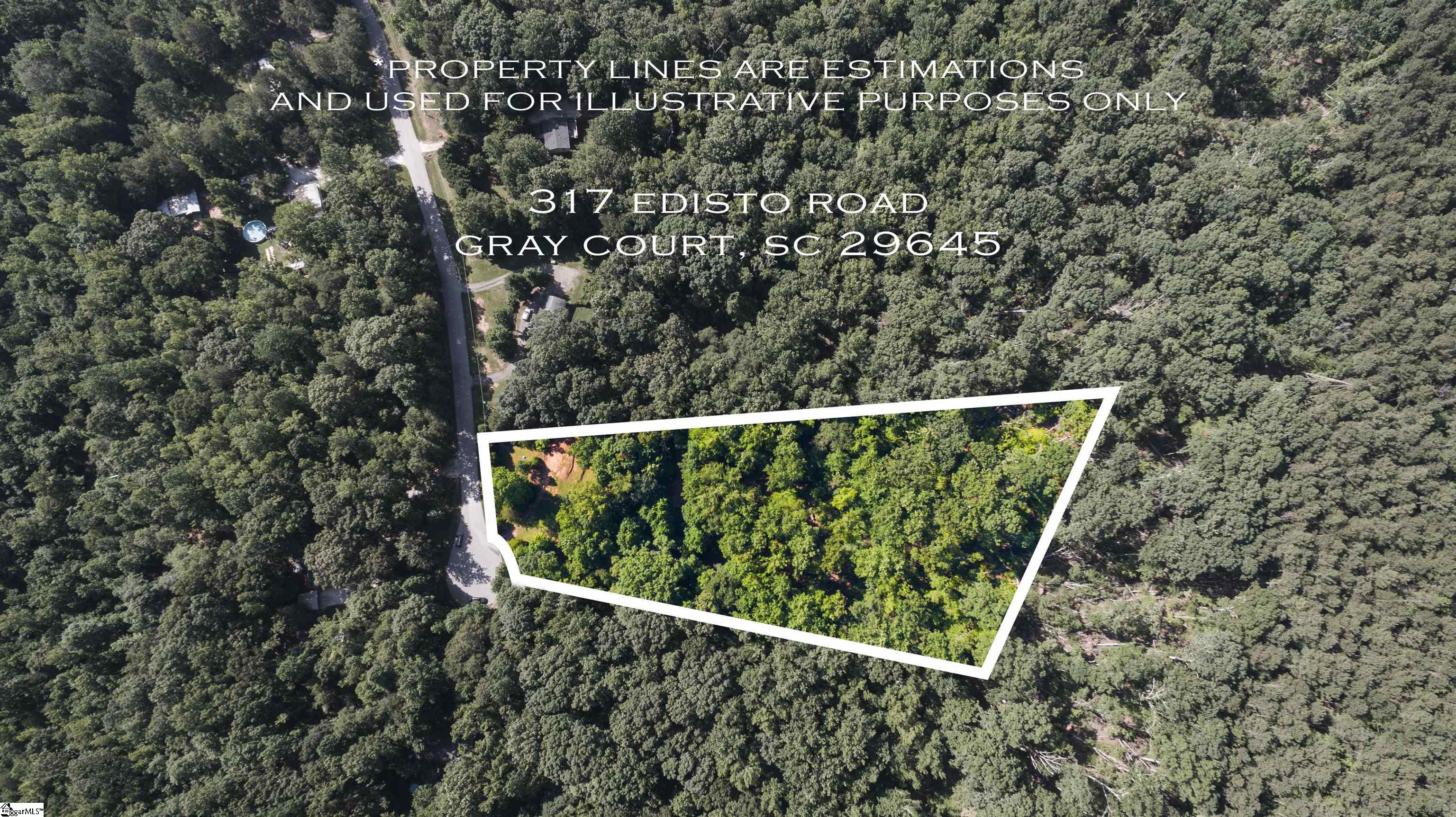 317 Edisto, Gray Court, South Carolina image 2